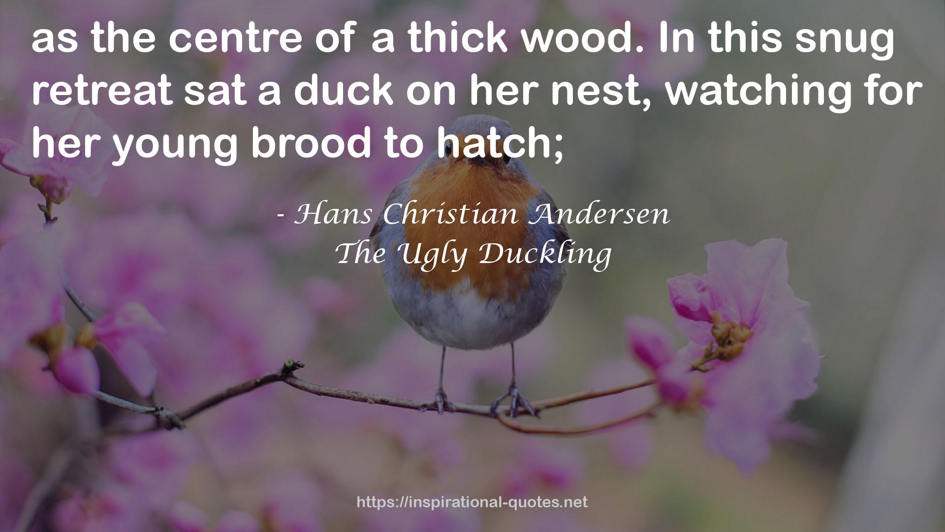 The Ugly Duckling QUOTES