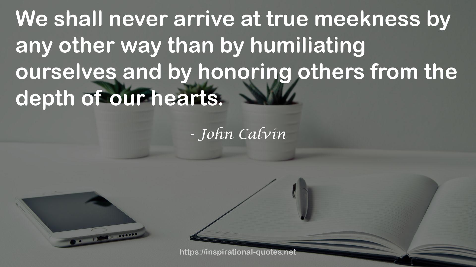 true meekness  QUOTES