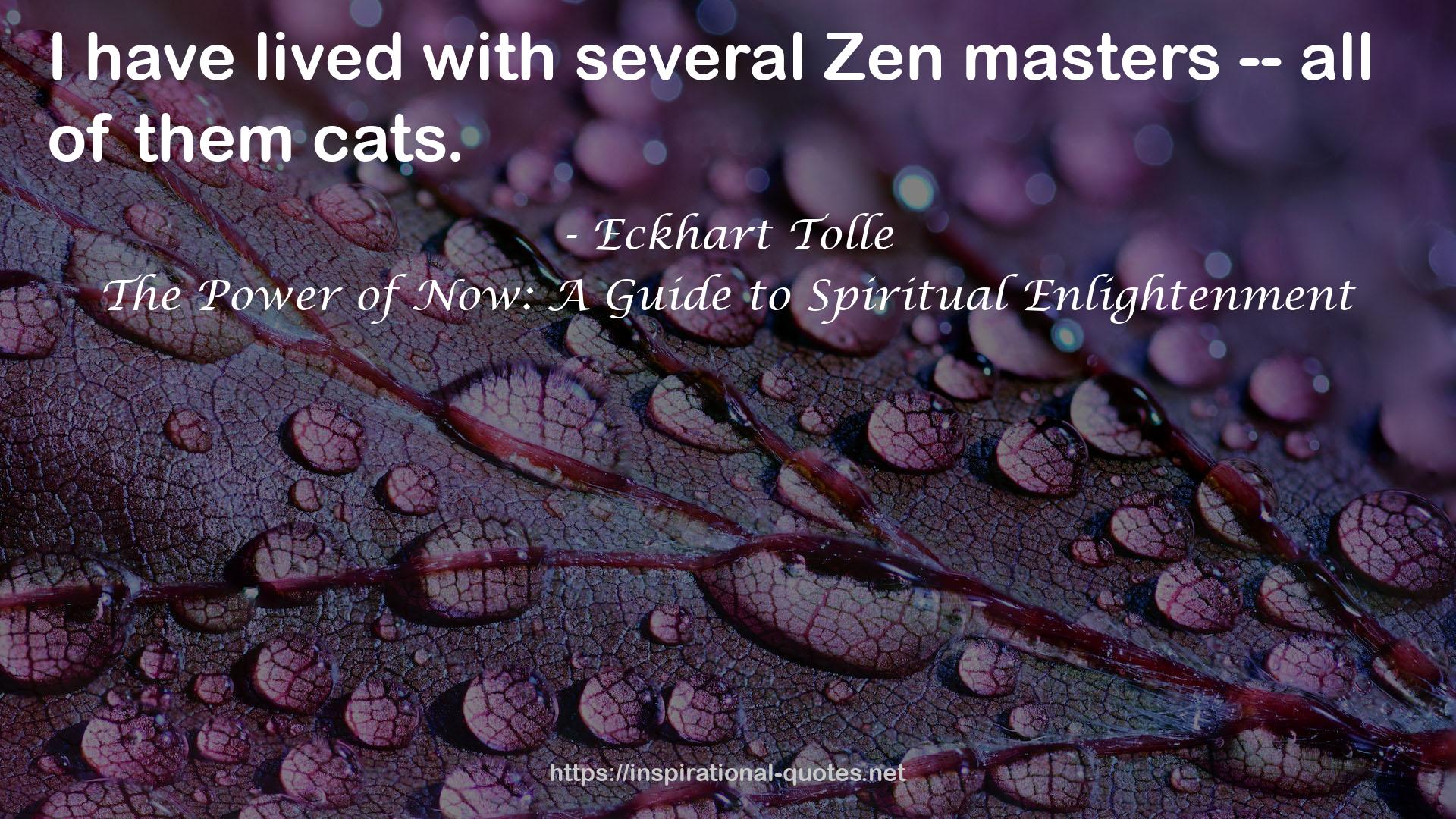 Zen  QUOTES