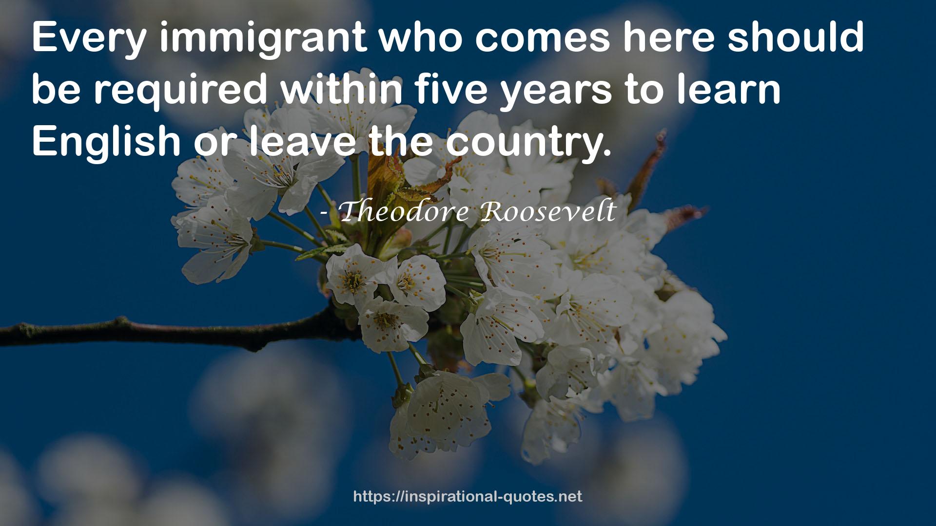 immigrant  QUOTES