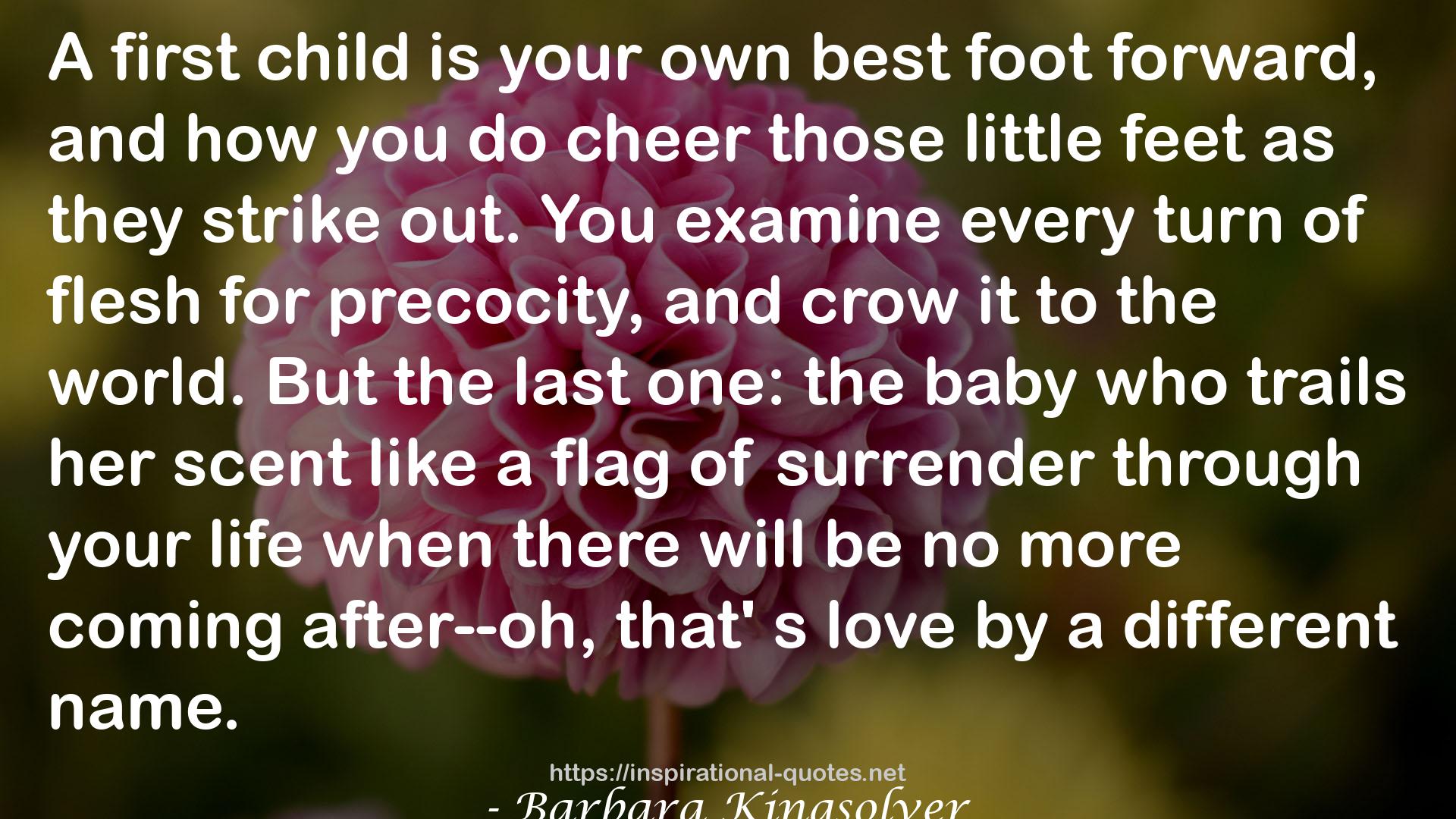 Barbara Kingsolver QUOTES