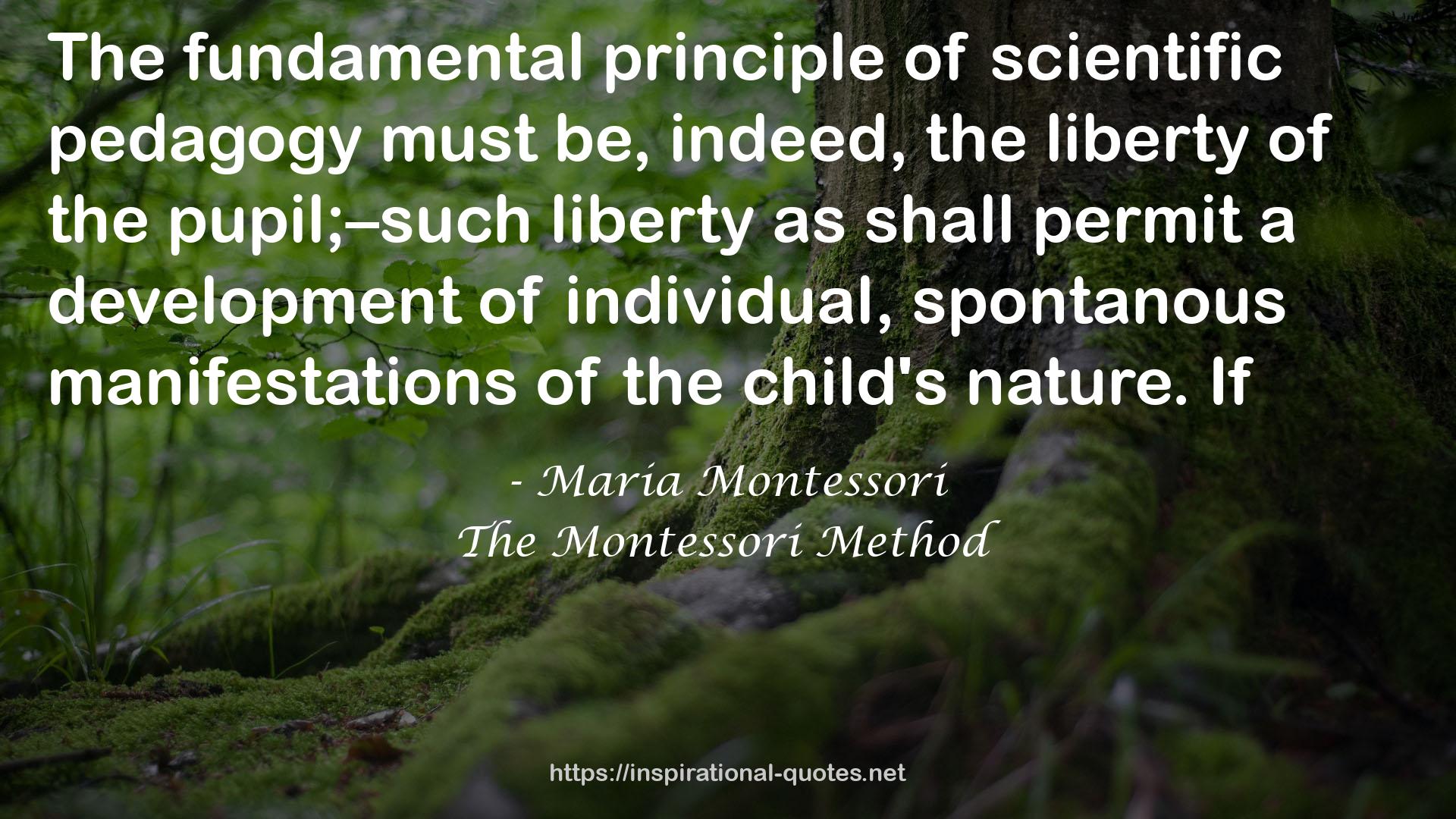 The Montessori Method QUOTES