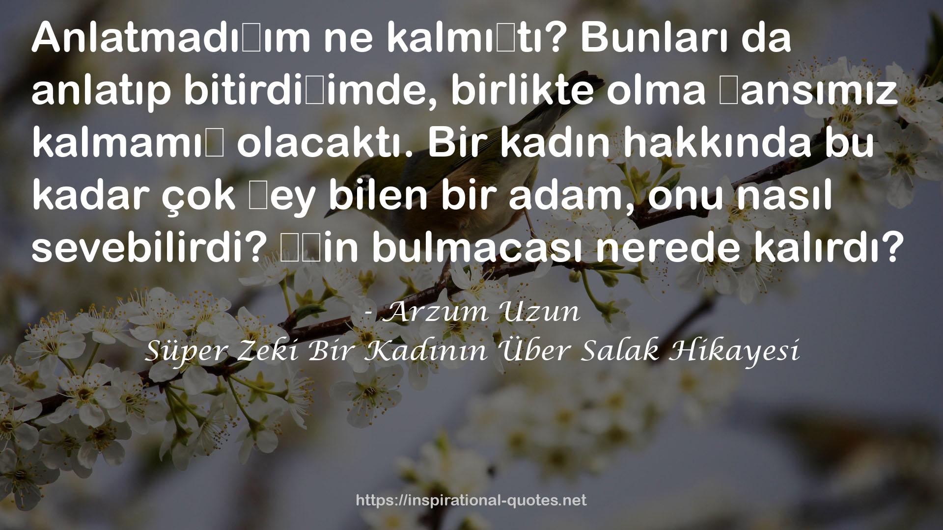 Süper Zeki Bir Kadının Über Salak Hikayesi QUOTES