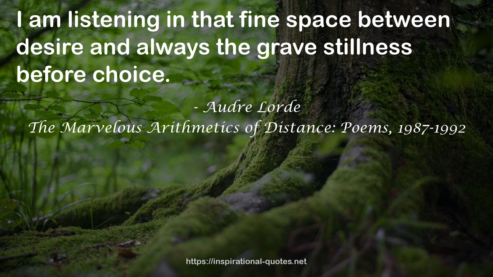 The Marvelous Arithmetics of Distance: Poems, 1987-1992 QUOTES