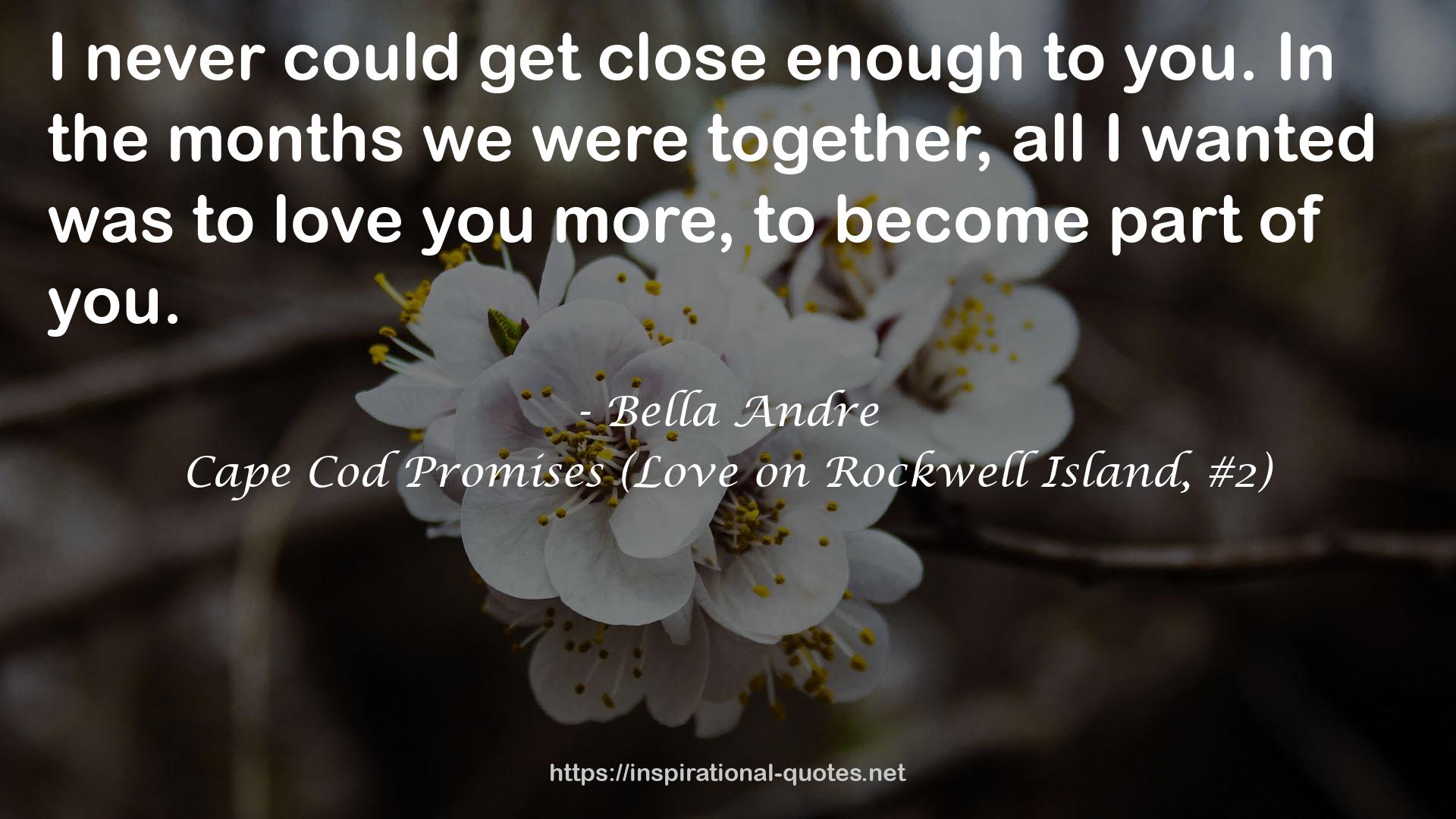 Cape Cod Promises (Love on Rockwell Island, #2) QUOTES