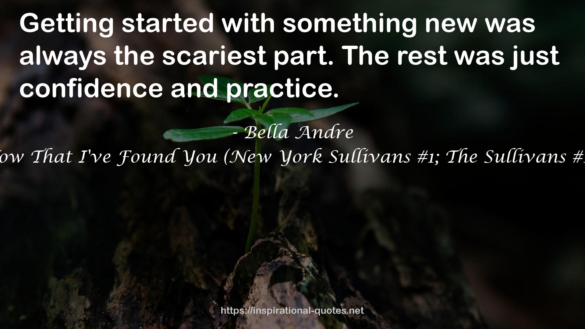 Now That I've Found You (New York Sullivans #1; The Sullivans #15) QUOTES