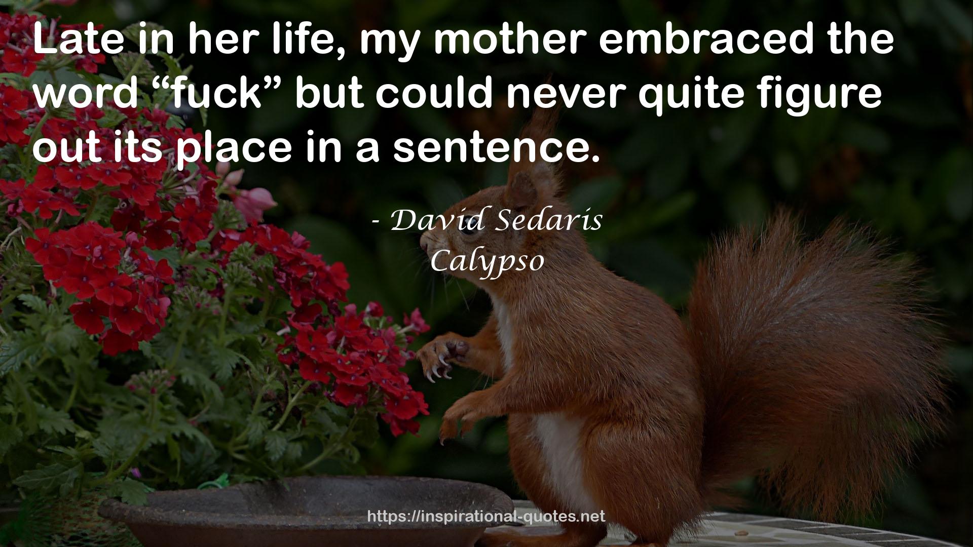 Calypso QUOTES