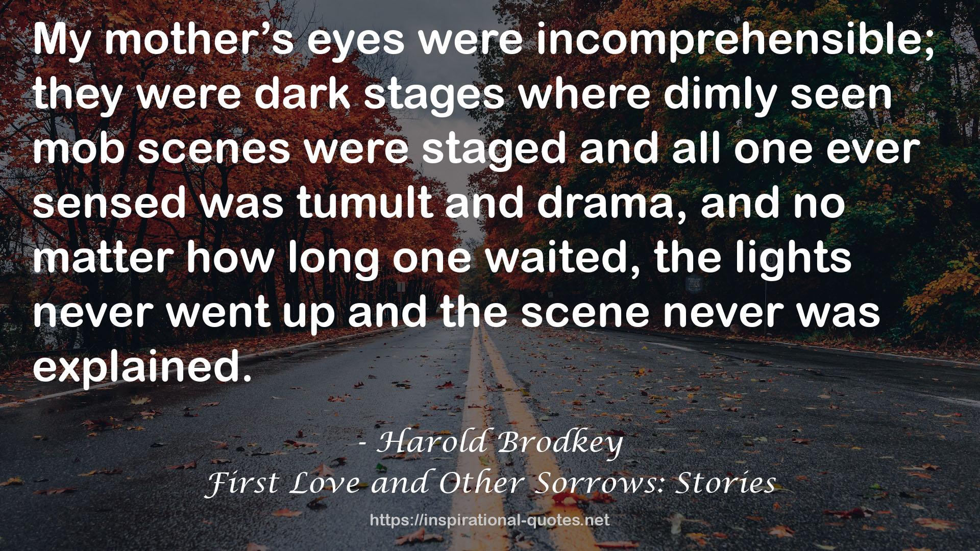 First Love and Other Sorrows: Stories QUOTES