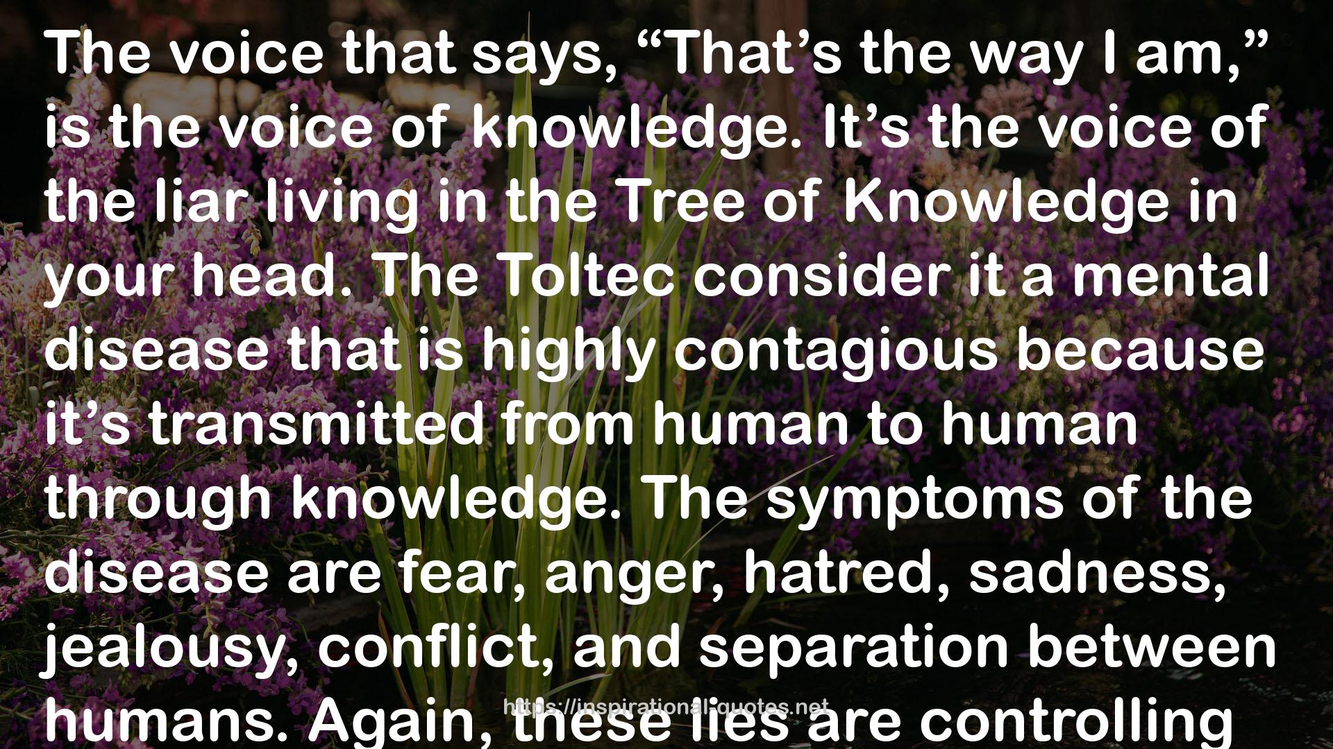 Toltec  QUOTES