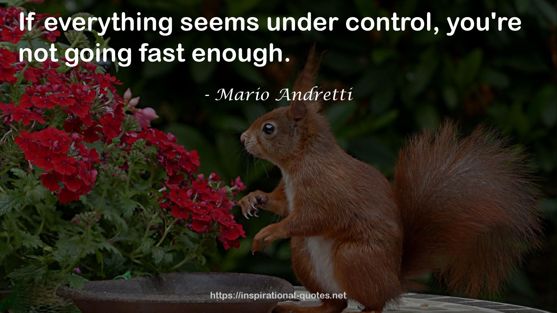 Mario Andretti QUOTES