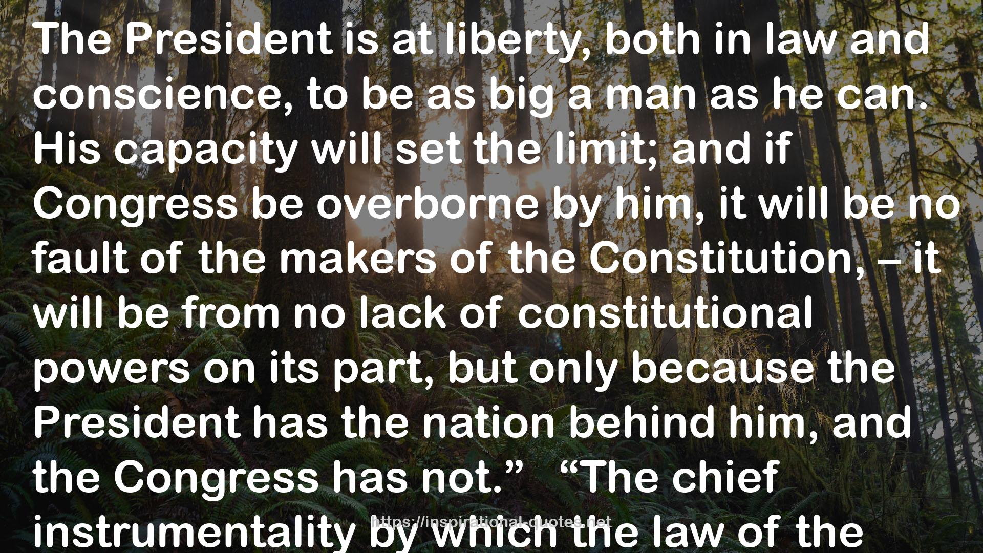 Constitutional Government in the United States QUOTES