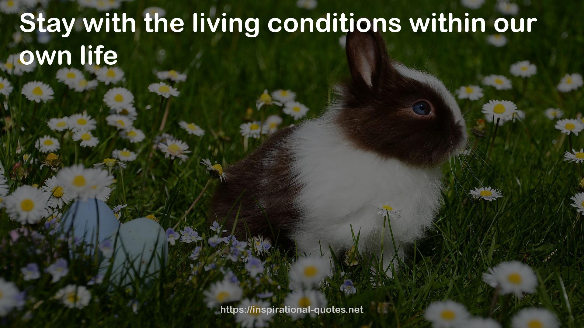 the living conditions  QUOTES