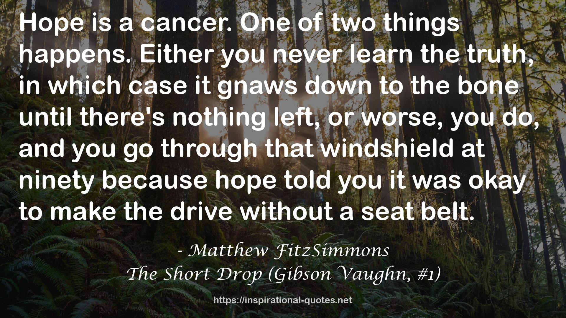 The Short Drop (Gibson Vaughn, #1) QUOTES