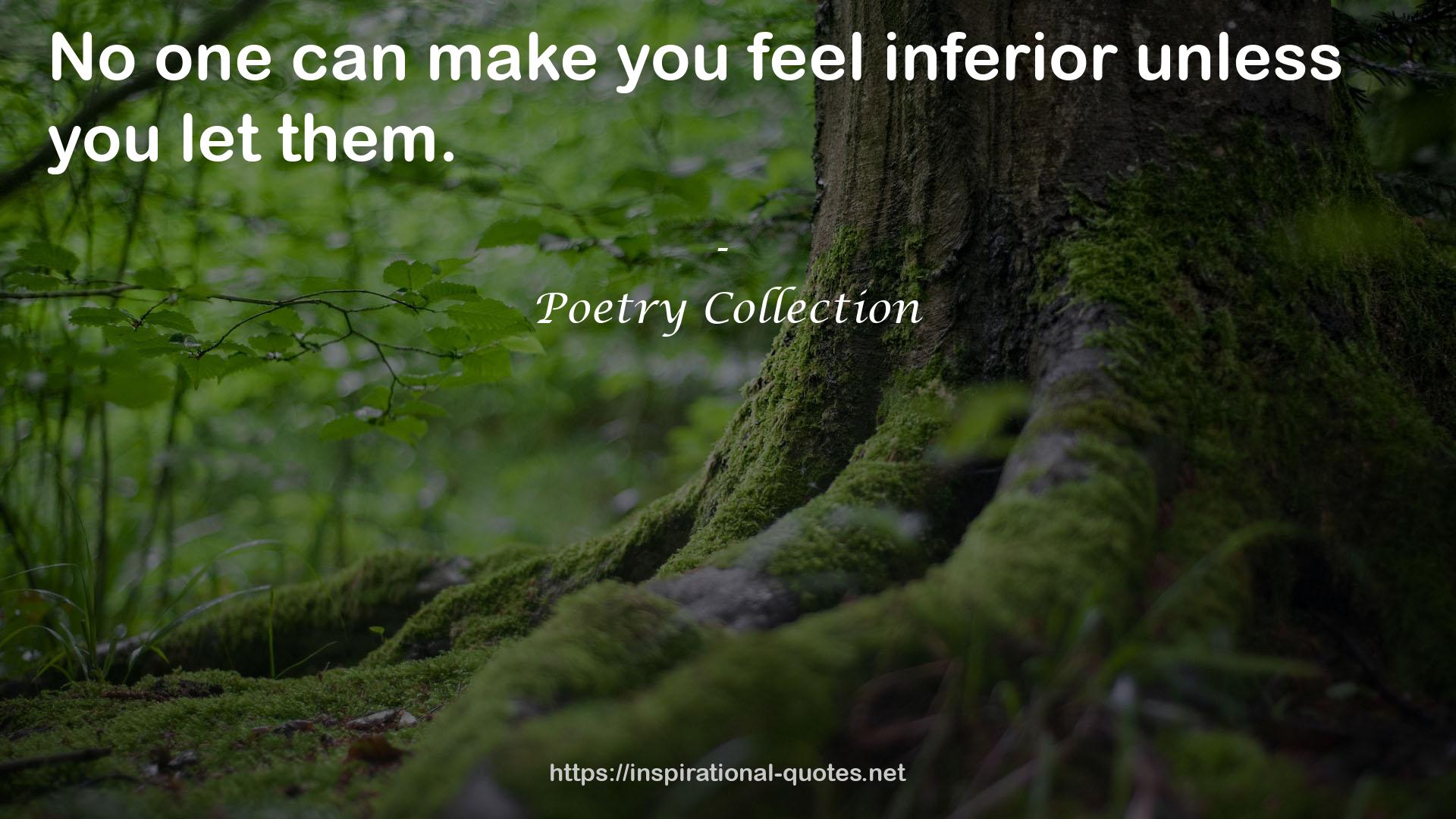 Poetry Collection QUOTES