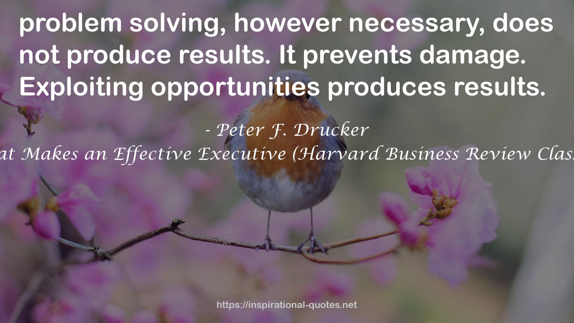 What Makes an Effective Executive (Harvard Business Review Classics) QUOTES