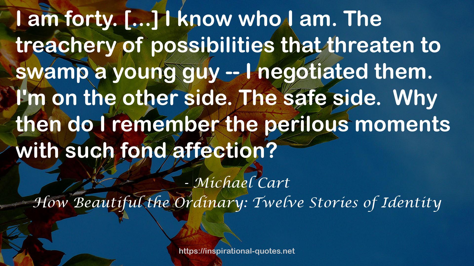 How Beautiful the Ordinary: Twelve Stories of Identity QUOTES