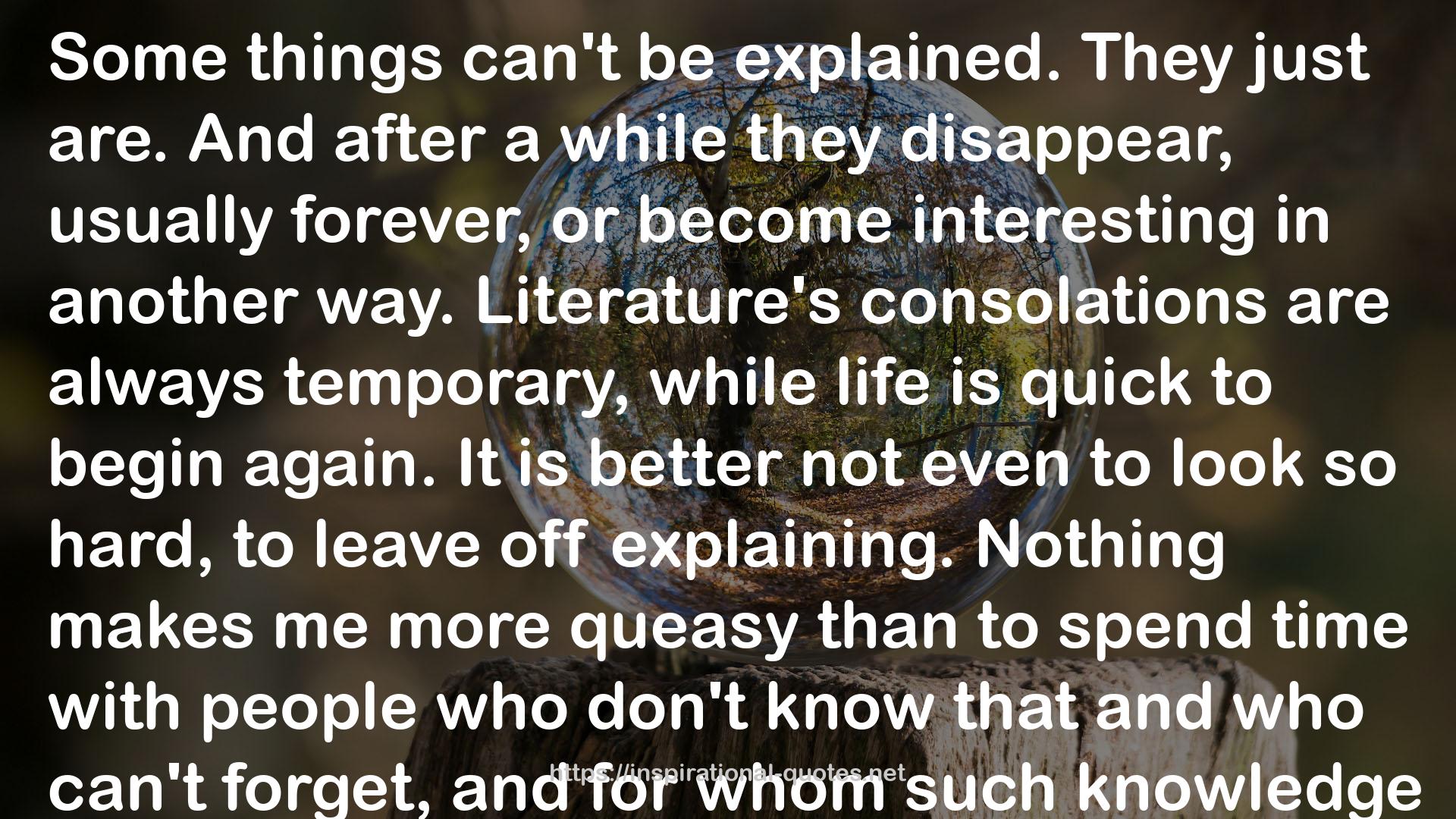 Literature's consolations  QUOTES