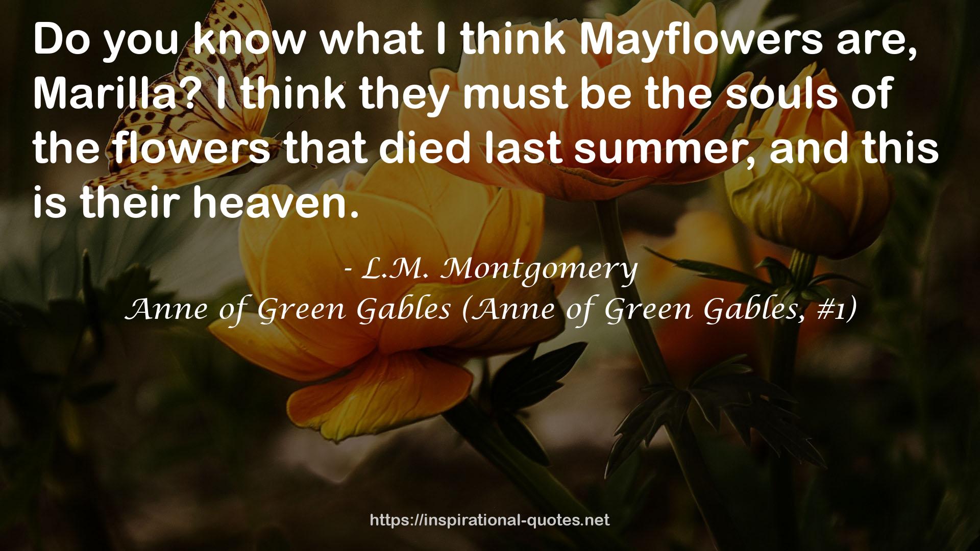 Mayflowers  QUOTES