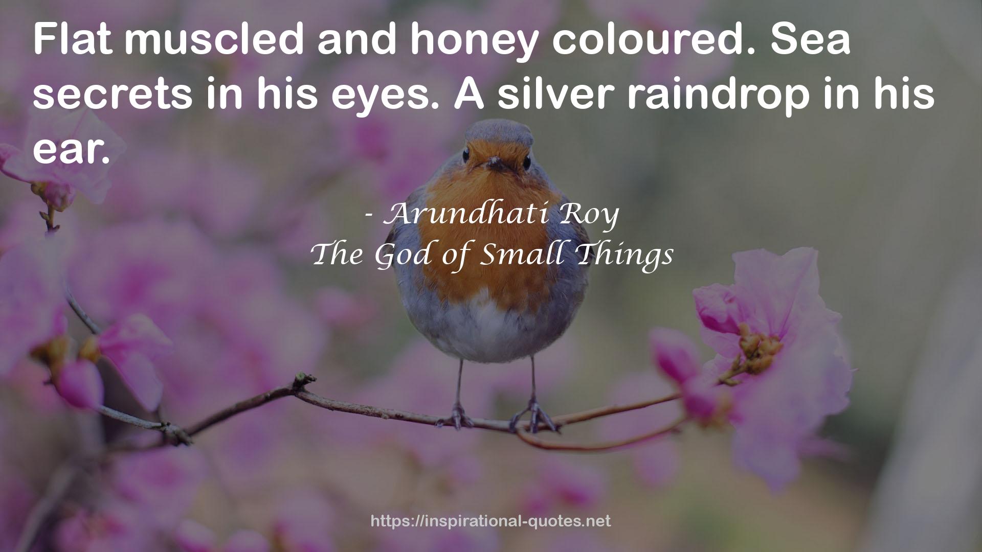 A silver raindrop  QUOTES