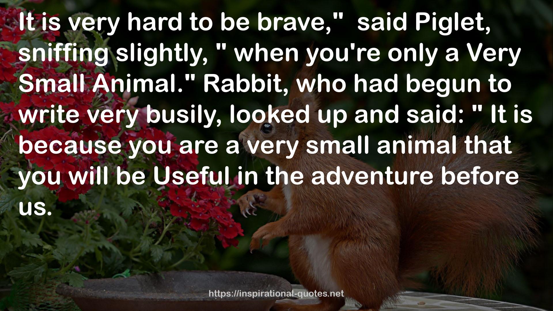 a very small animal  QUOTES