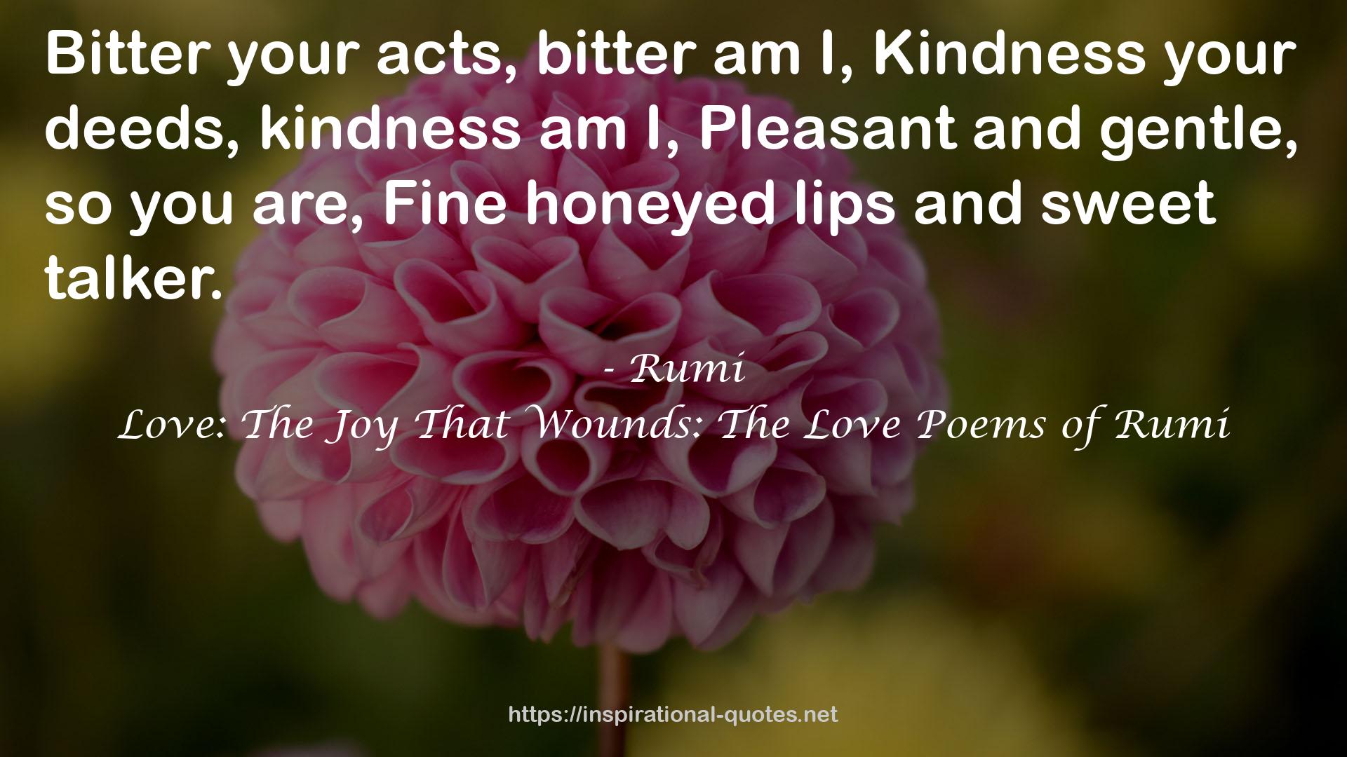 Love: The Joy That Wounds: The Love Poems of Rumi QUOTES