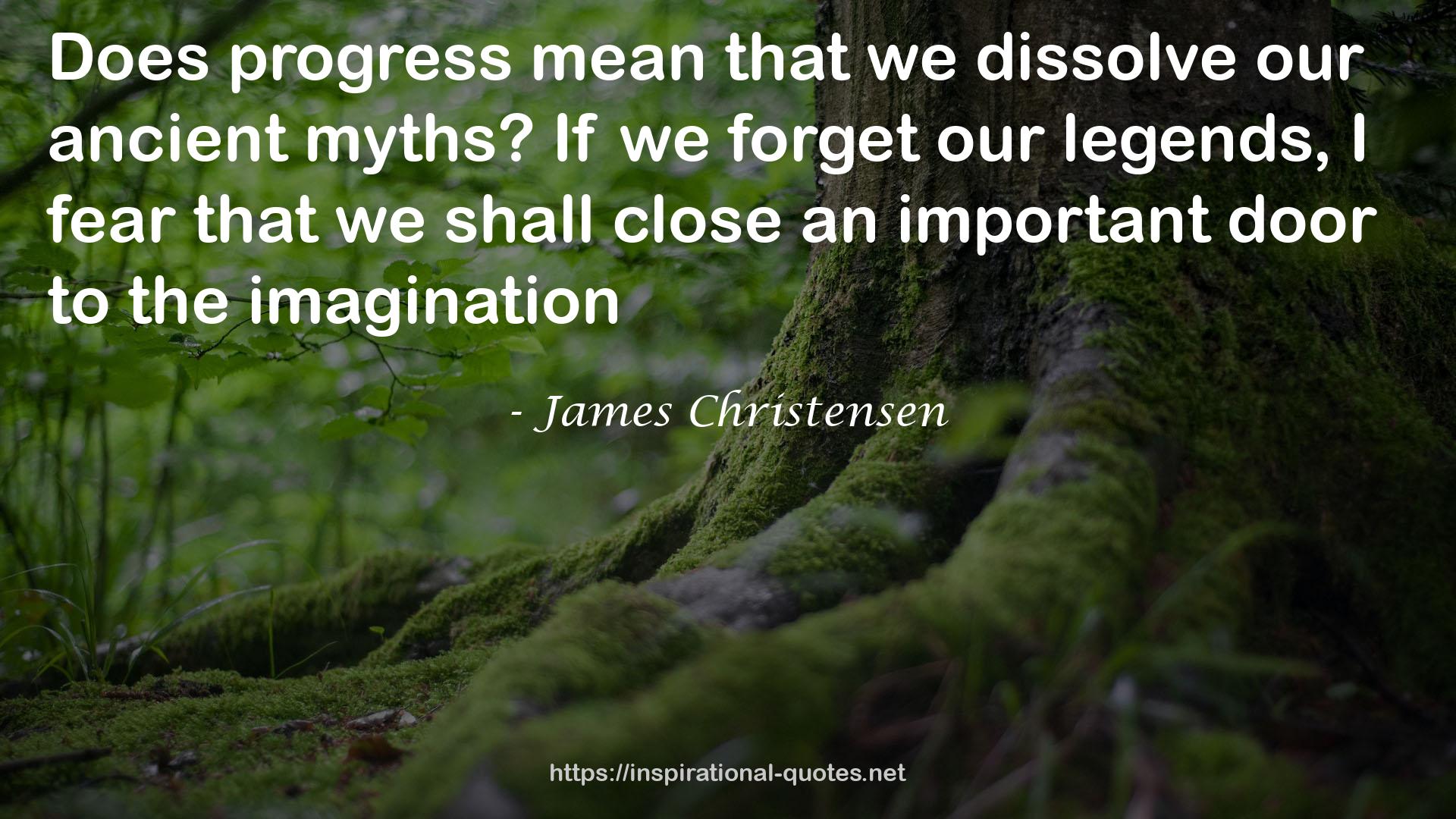 James Christensen QUOTES