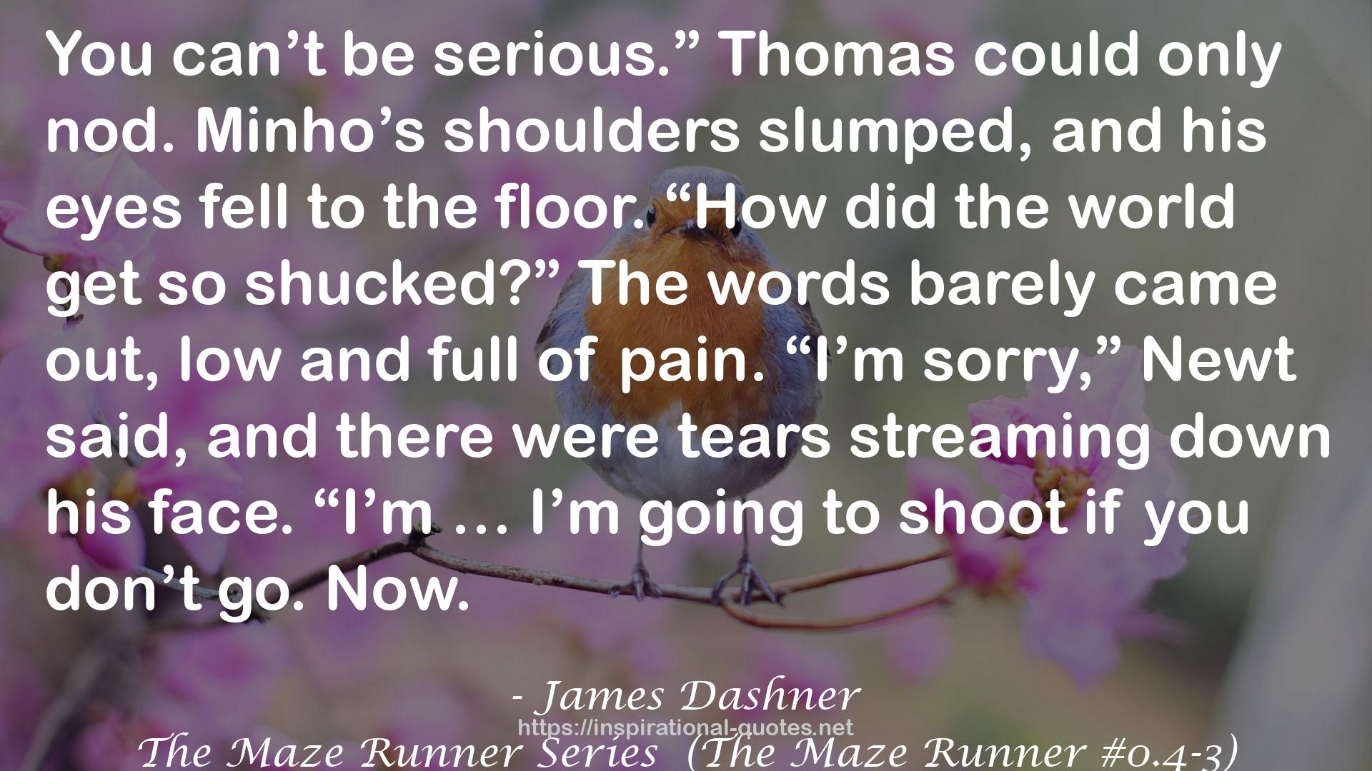 The Maze Runner Series  (The Maze Runner #0.4-3) QUOTES