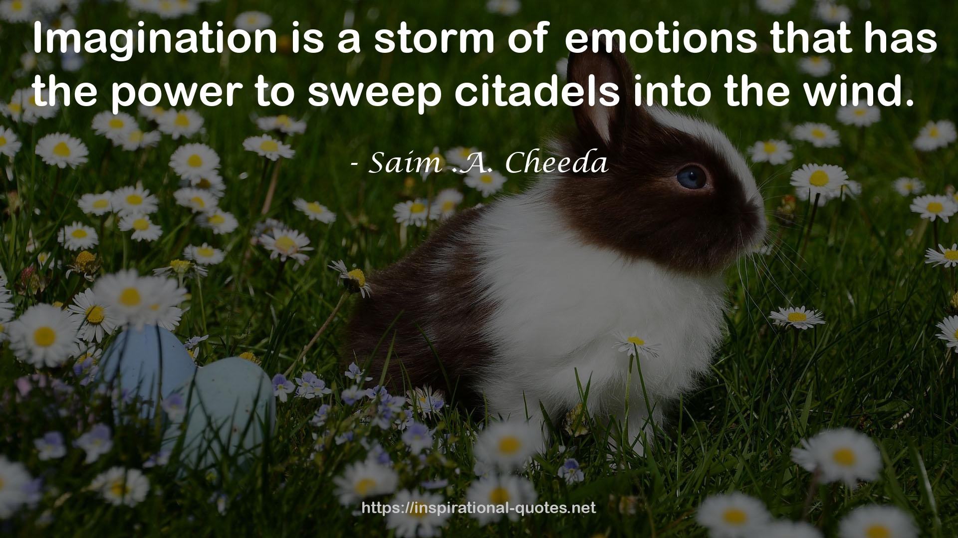 Saim .A. Cheeda QUOTES