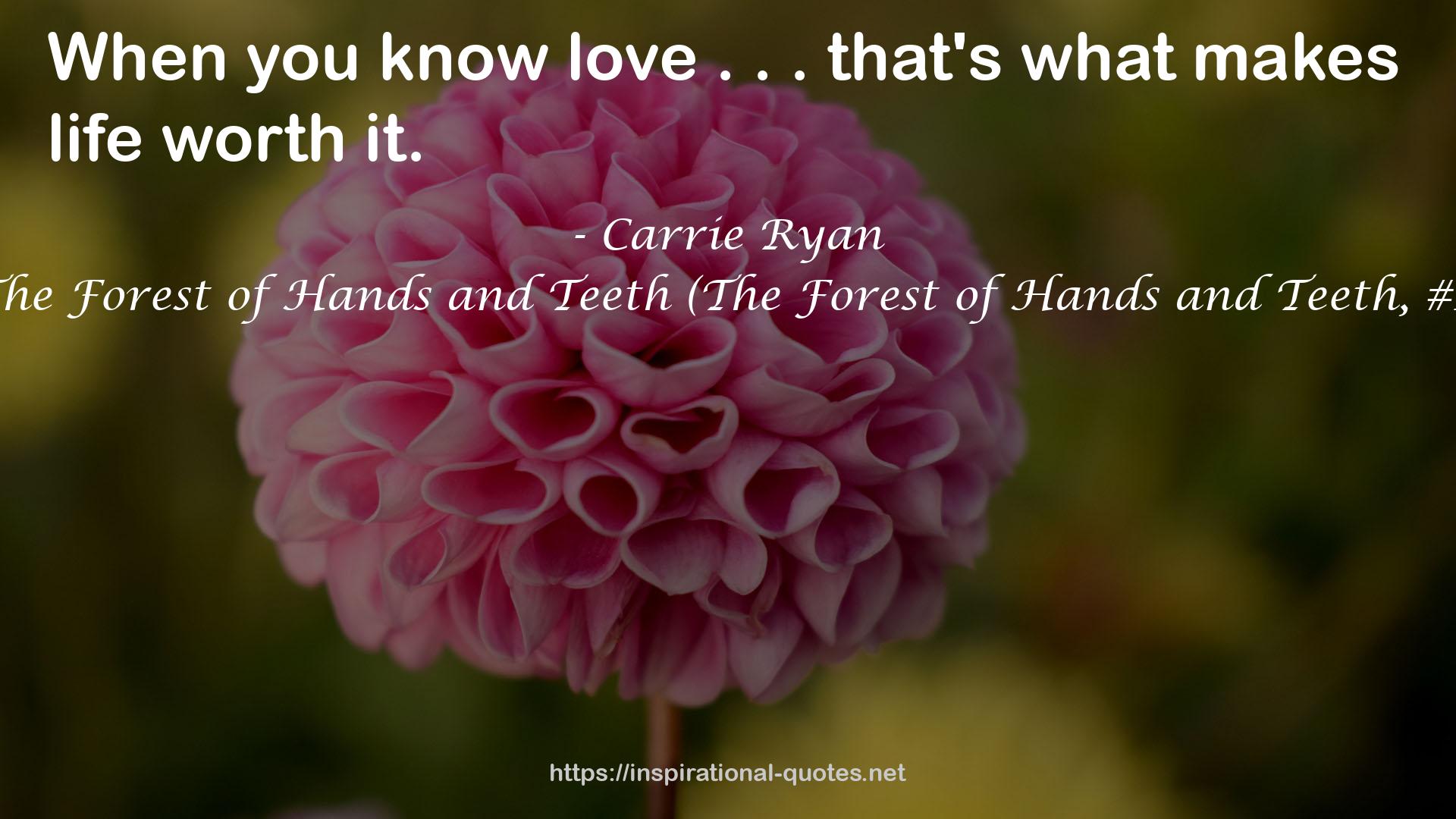 The Forest of Hands and Teeth (The Forest of Hands and Teeth, #1) QUOTES