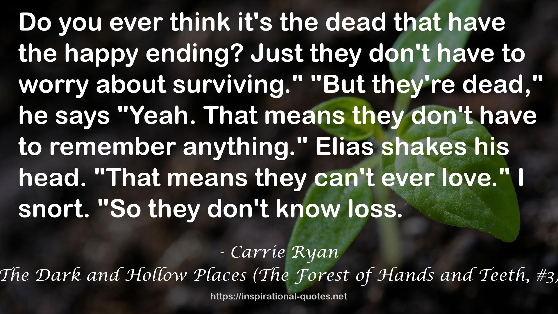 The Dark and Hollow Places (The Forest of Hands and Teeth, #3) QUOTES