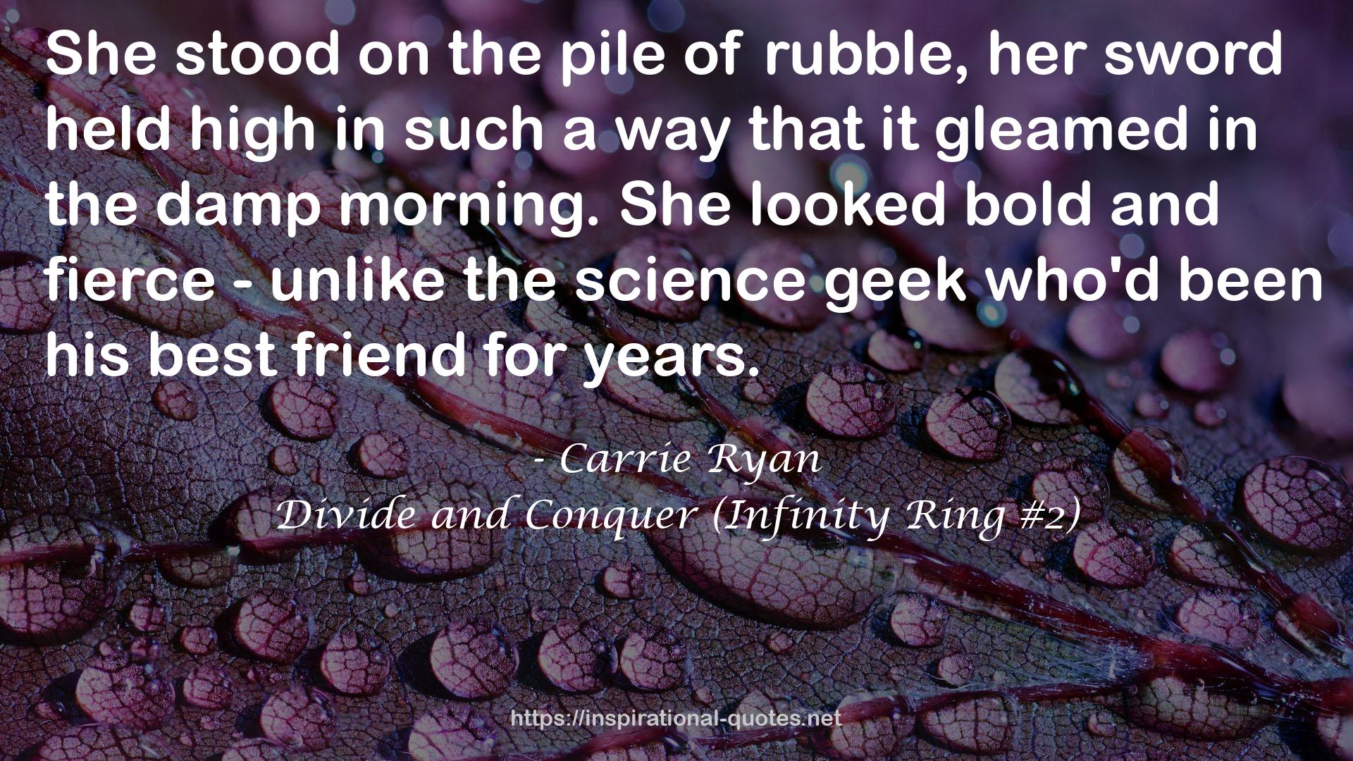 Divide and Conquer (Infinity Ring #2) QUOTES
