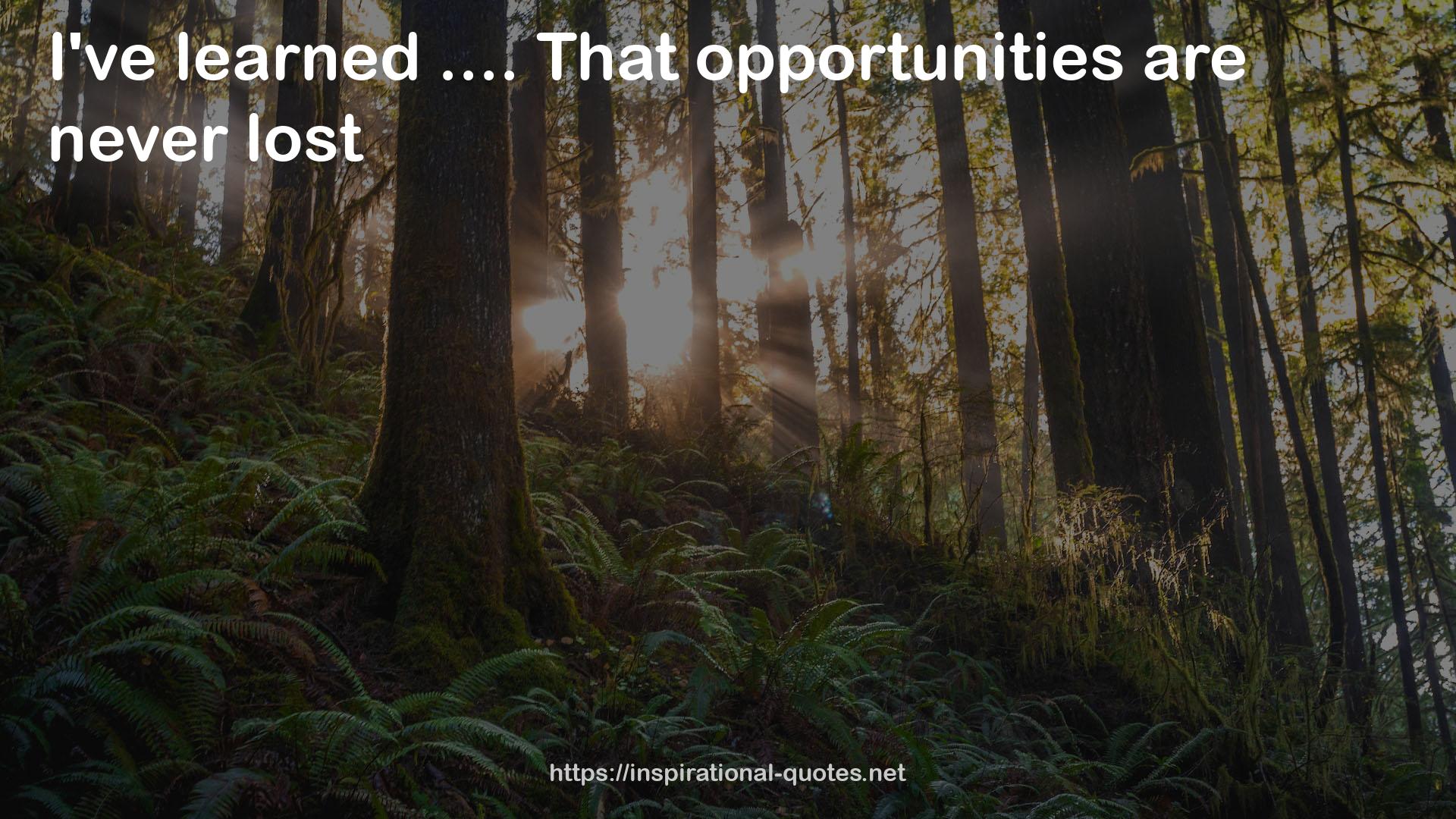 That opportunities  QUOTES