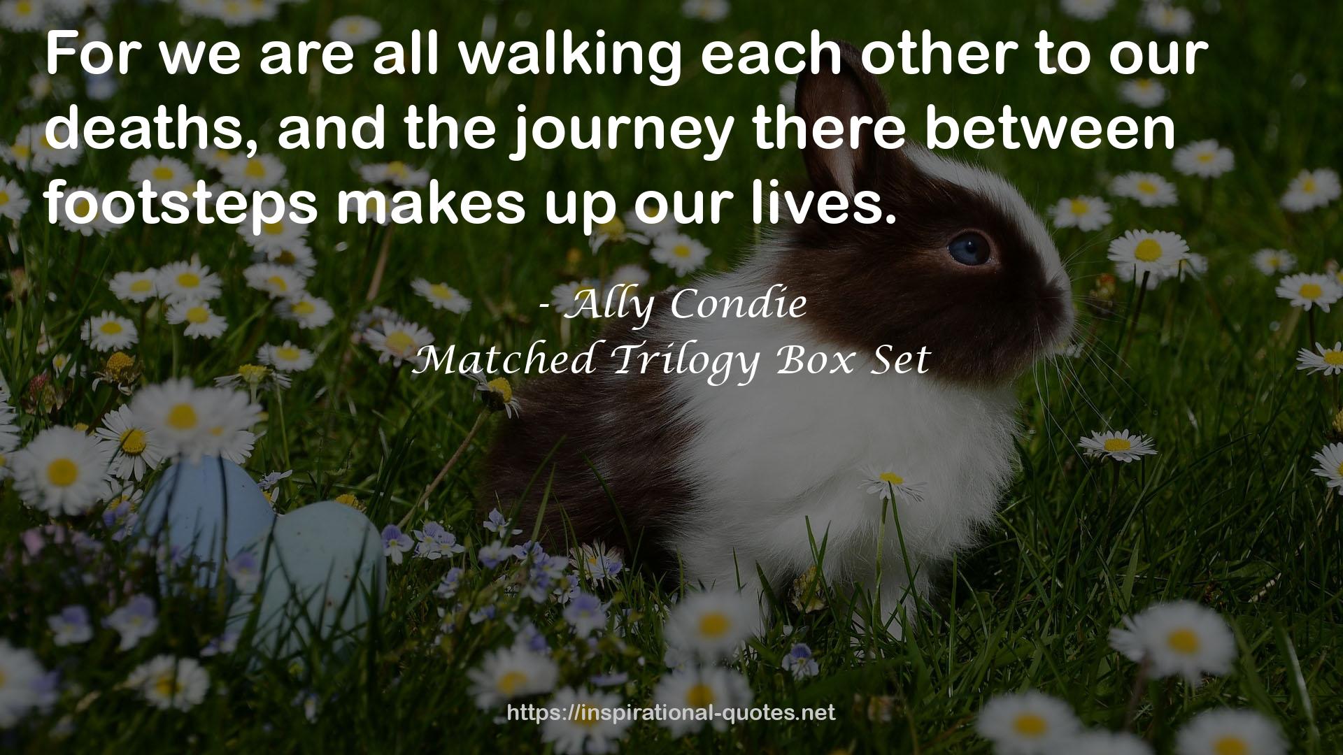 Matched Trilogy Box Set QUOTES