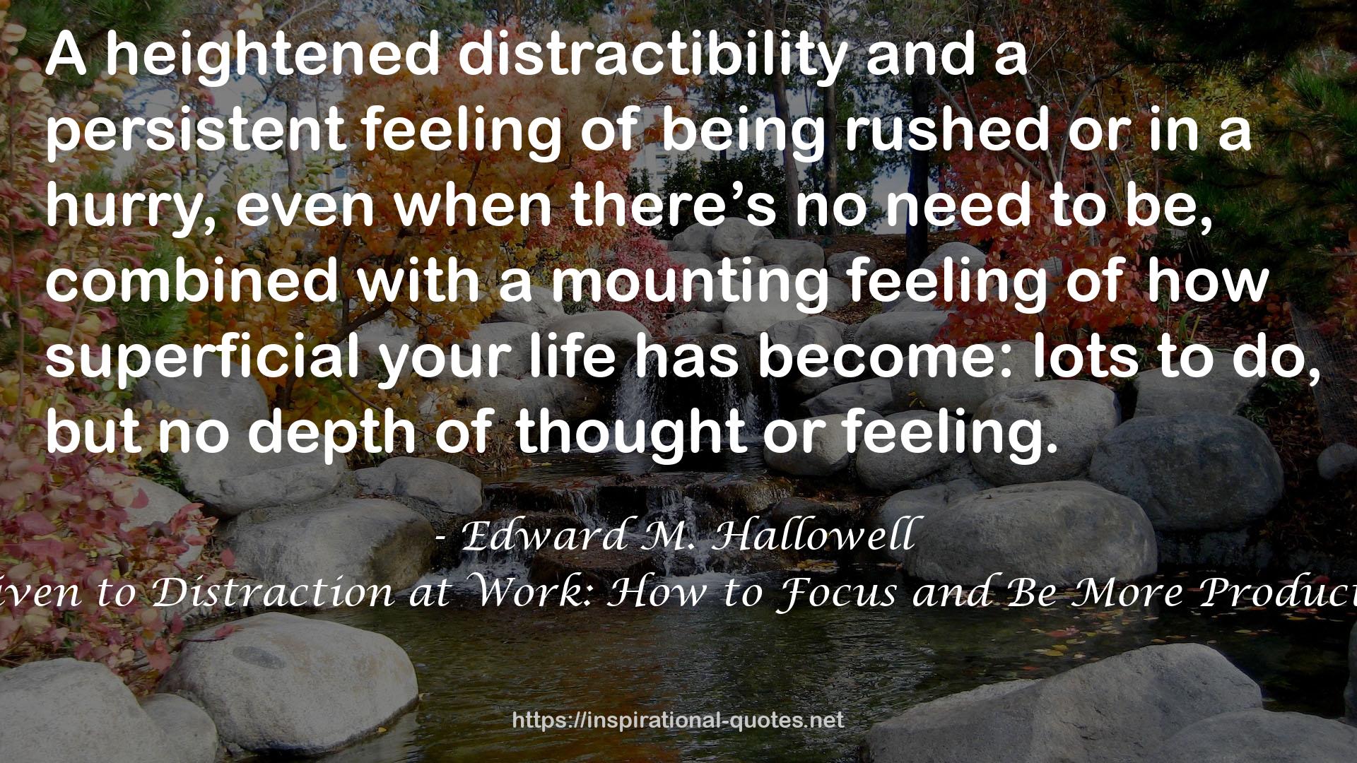 Driven to Distraction at Work: How to Focus and Be More Productive QUOTES