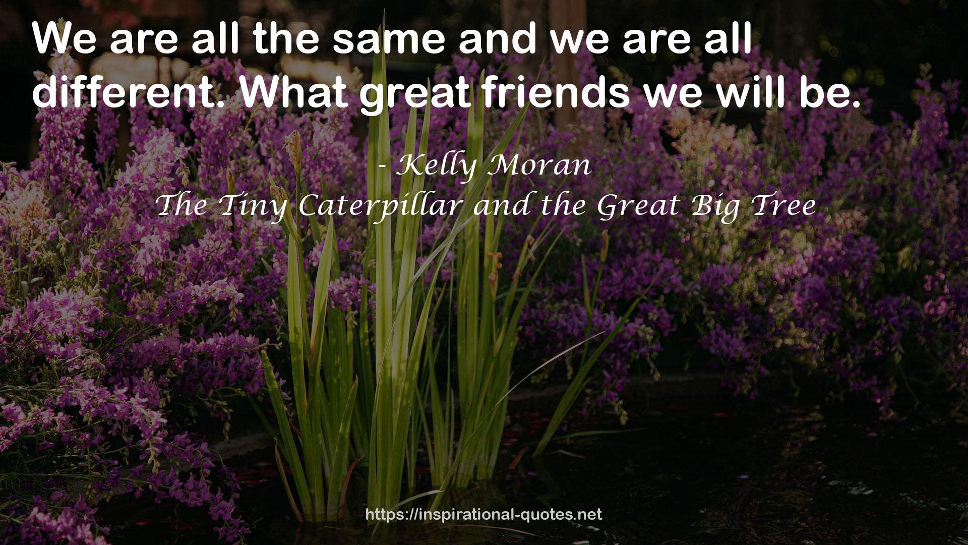The Tiny Caterpillar and the Great Big Tree QUOTES