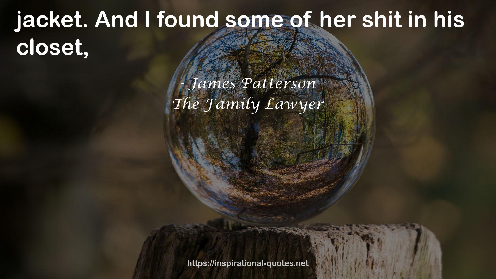 The Family Lawyer QUOTES