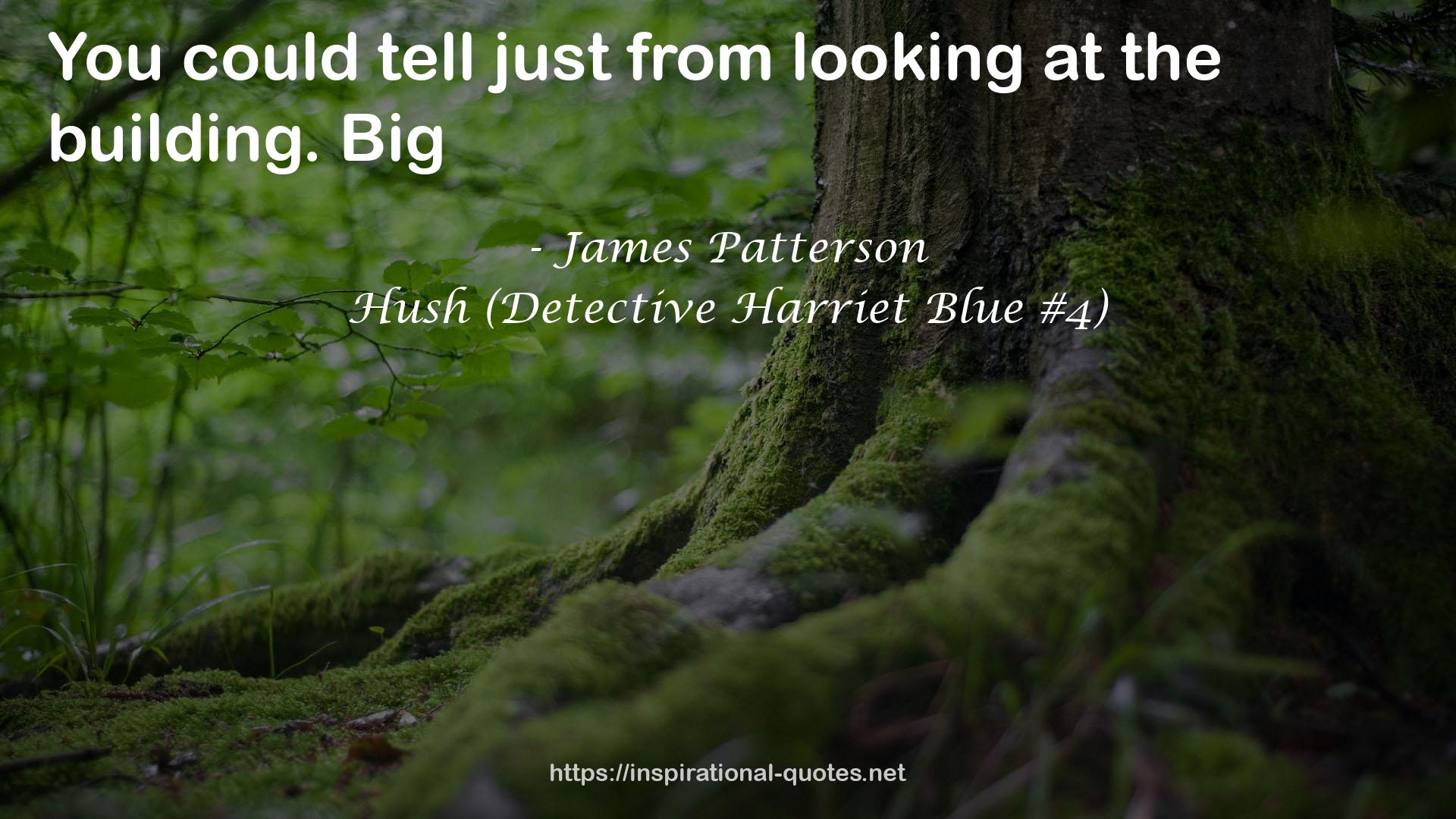 Hush (Detective Harriet Blue #4) QUOTES