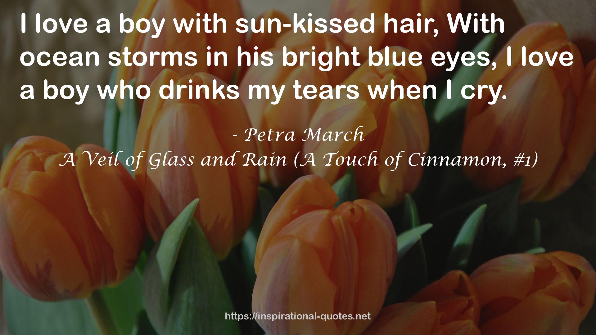 A Veil of Glass and Rain (A Touch of Cinnamon, #1) QUOTES