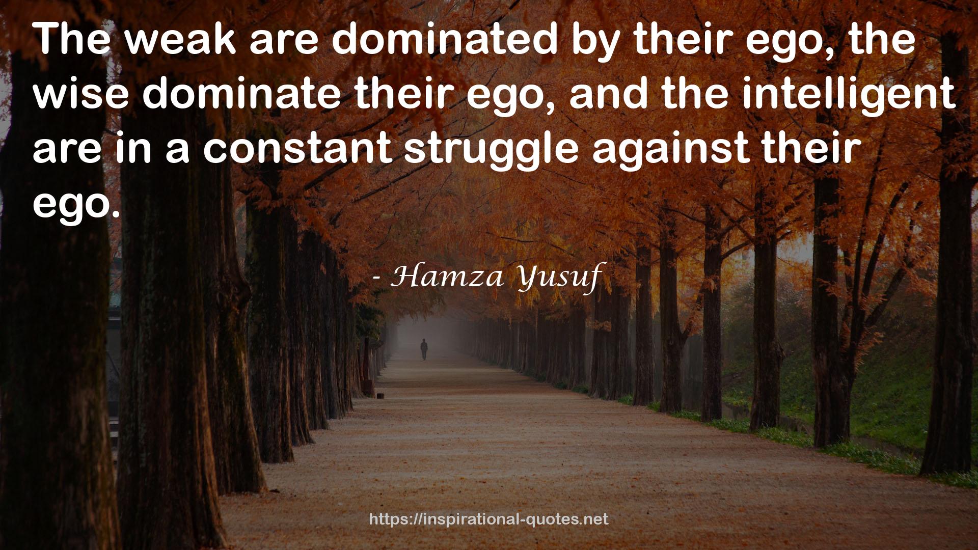 Hamza Yusuf QUOTES