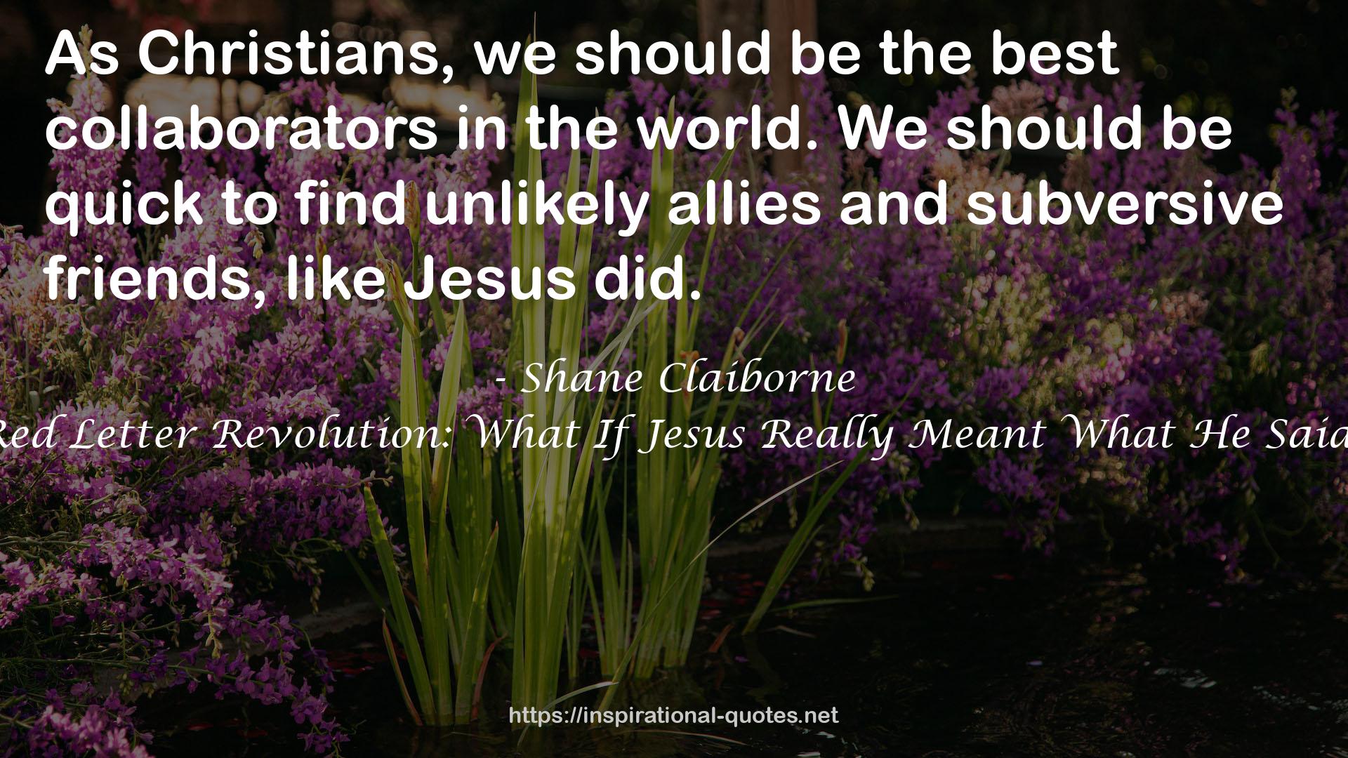Red Letter Revolution: What If Jesus Really Meant What He Said? QUOTES