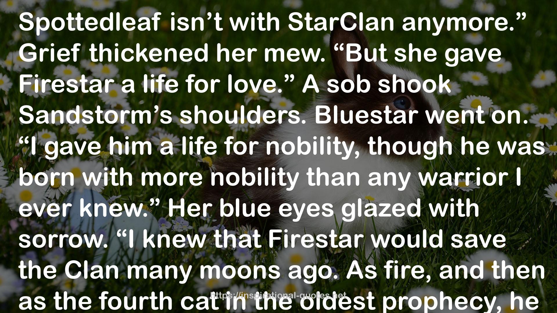 The Last Hope (Warriors: Omen of the Stars, #6) QUOTES