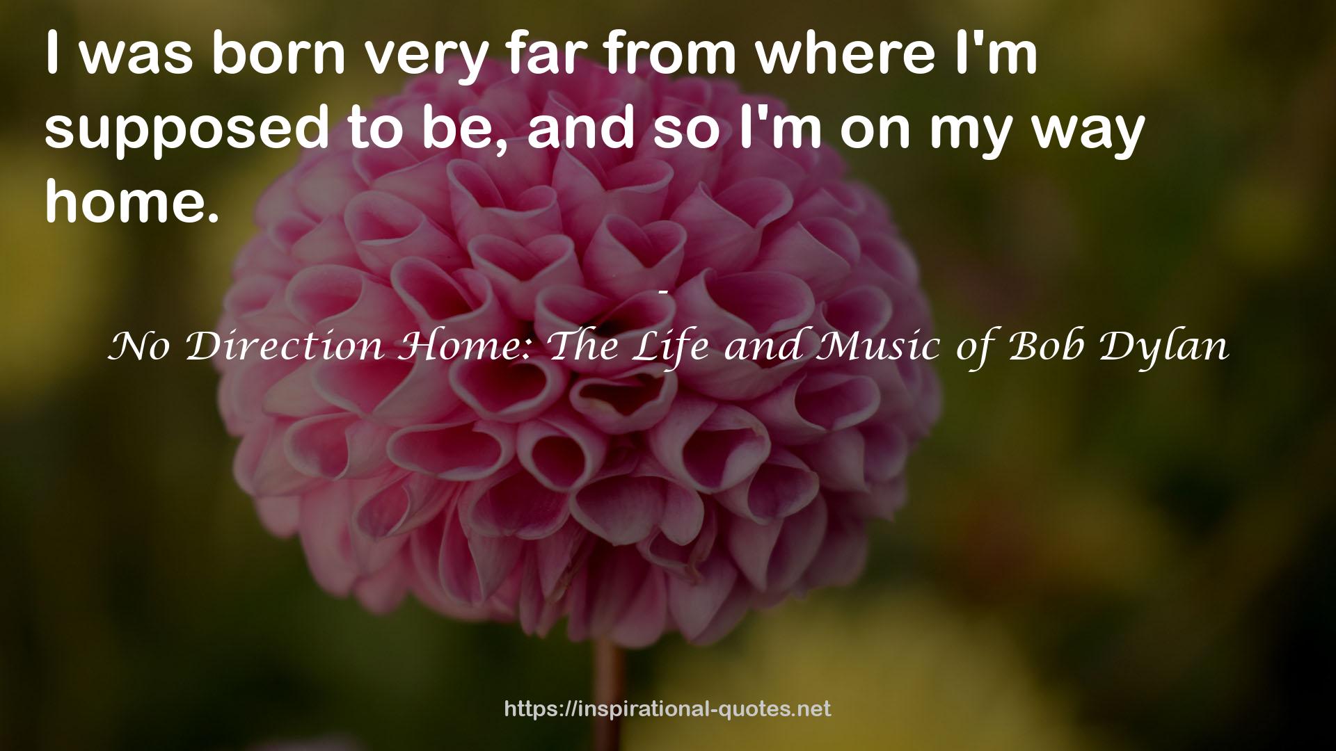 No Direction Home: The Life and Music of Bob Dylan QUOTES