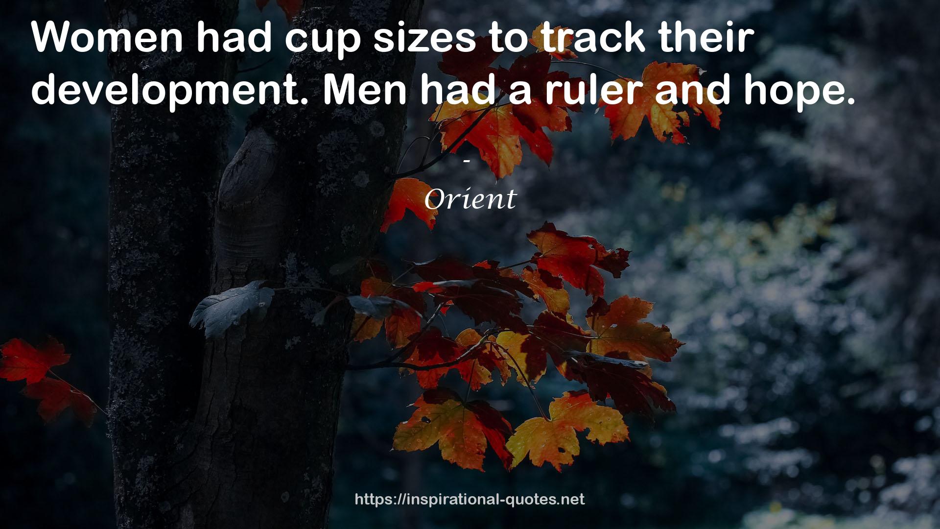 cup sizes  QUOTES