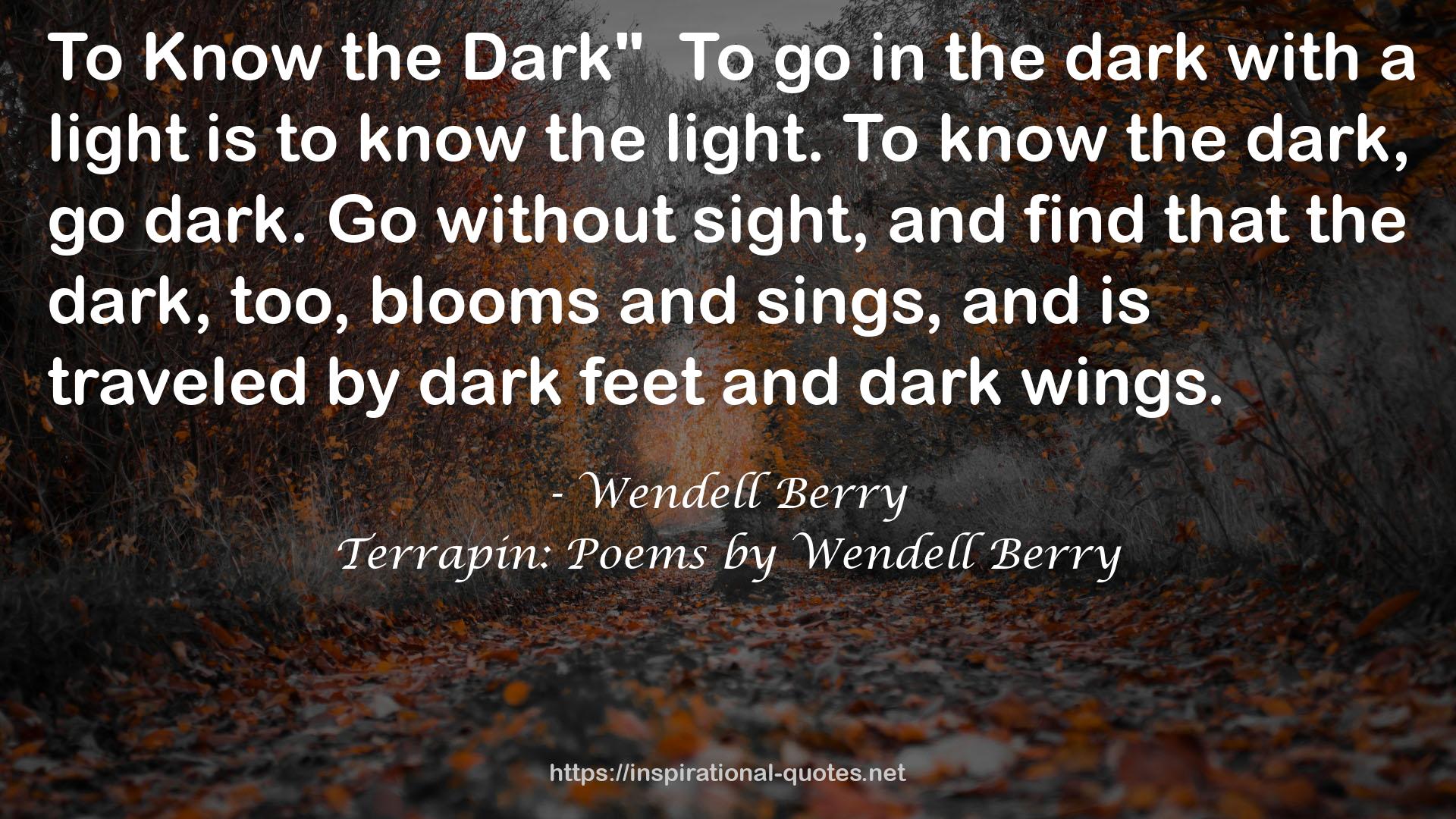 Terrapin: Poems by Wendell Berry QUOTES