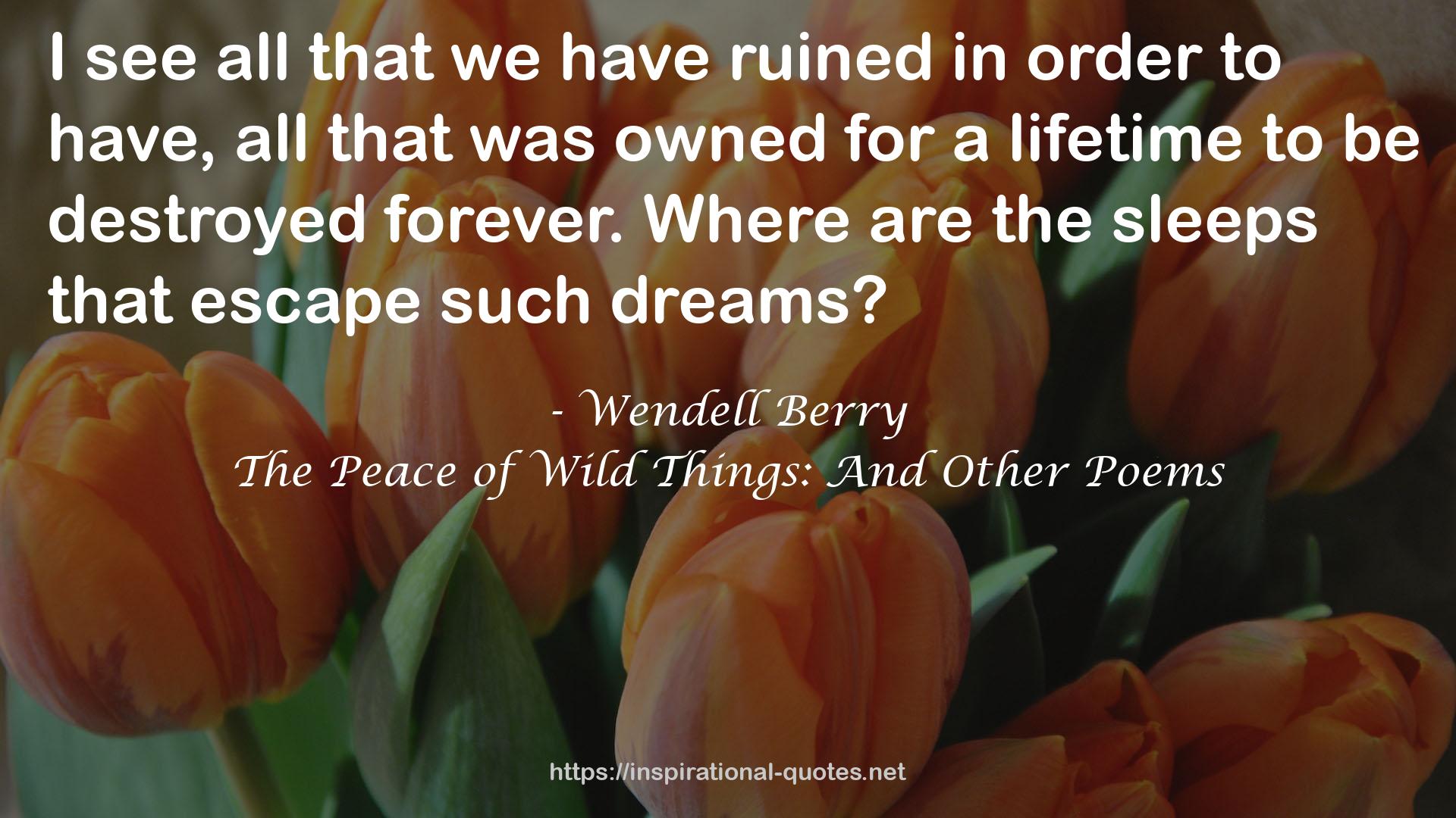 The Peace of Wild Things: And Other Poems QUOTES