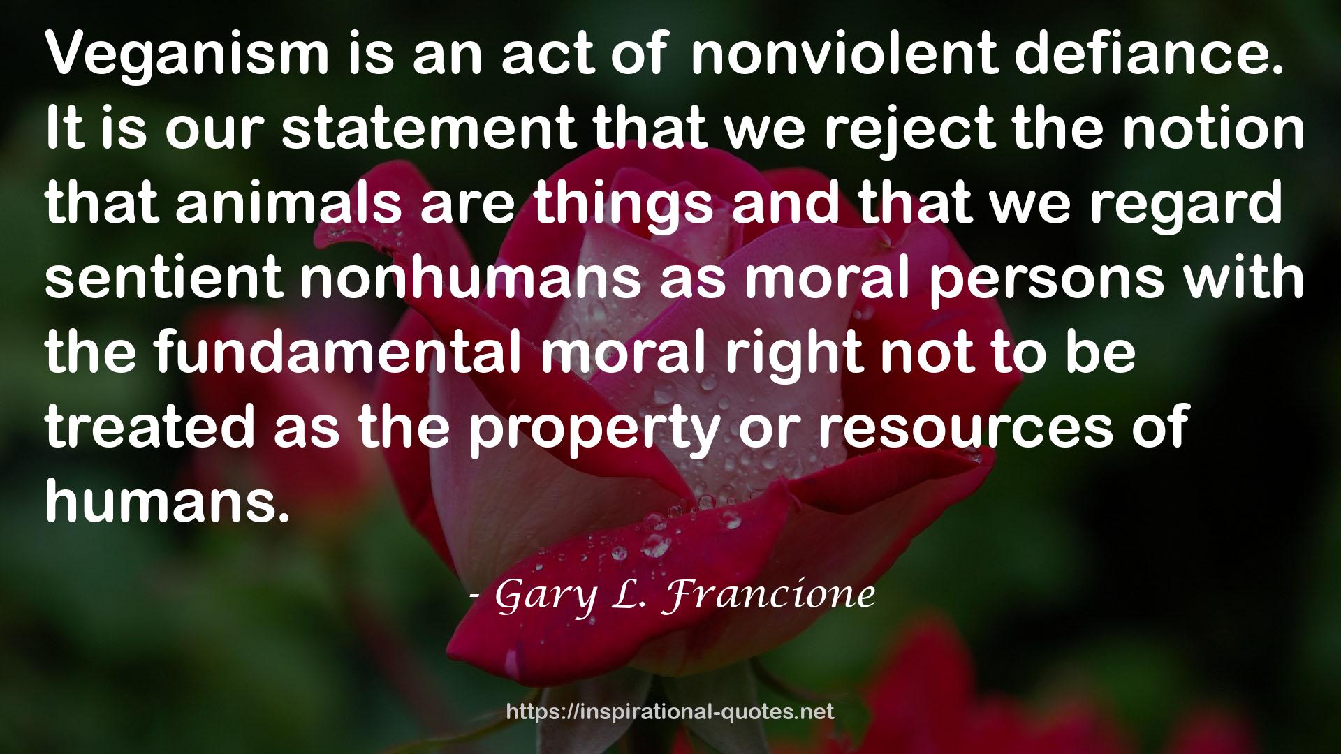 nonviolent  QUOTES