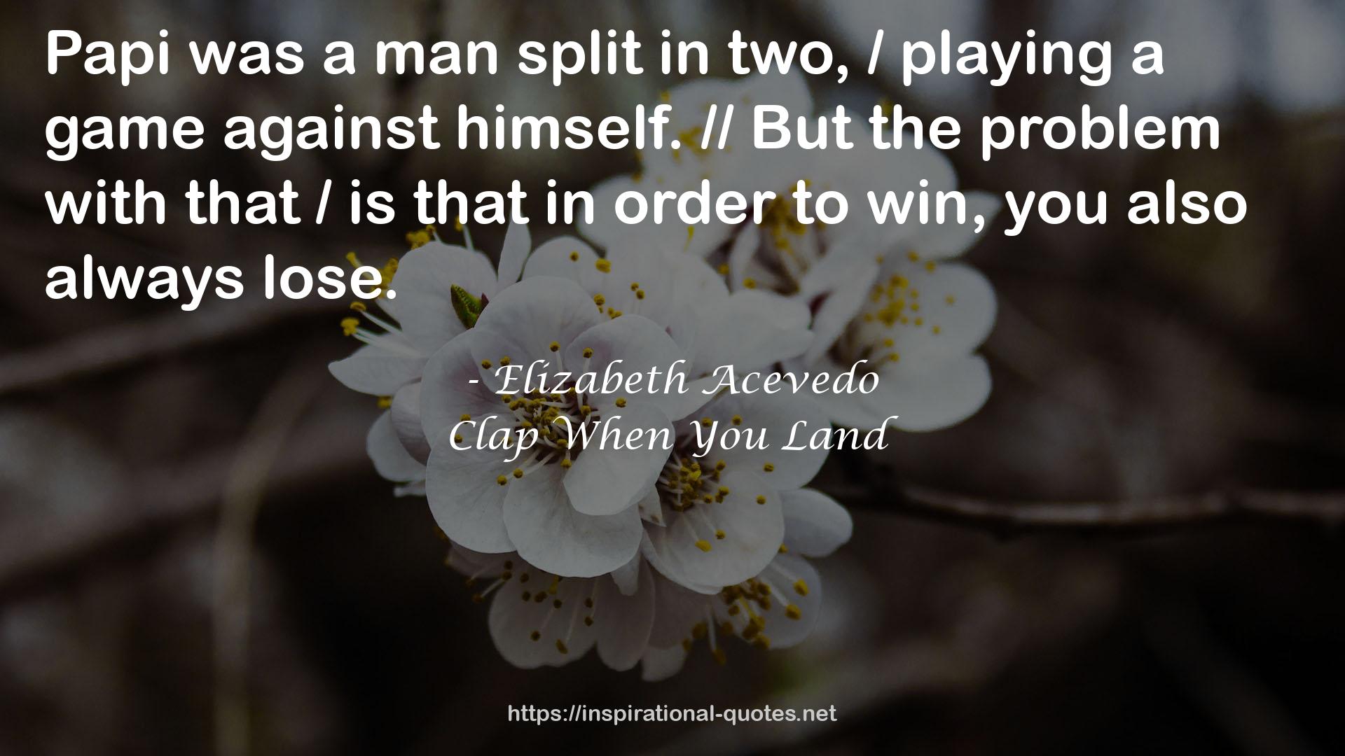 Elizabeth Acevedo QUOTES