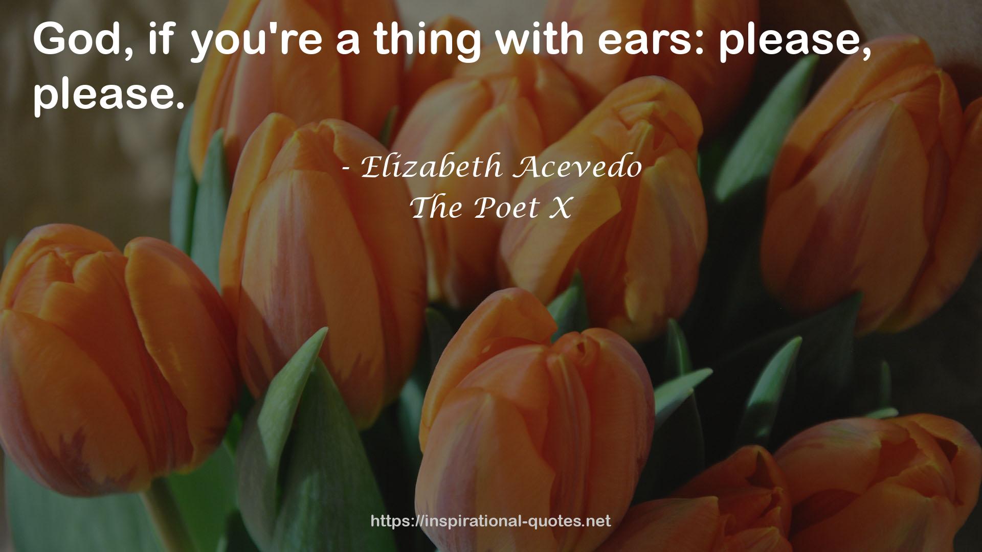 Elizabeth Acevedo QUOTES