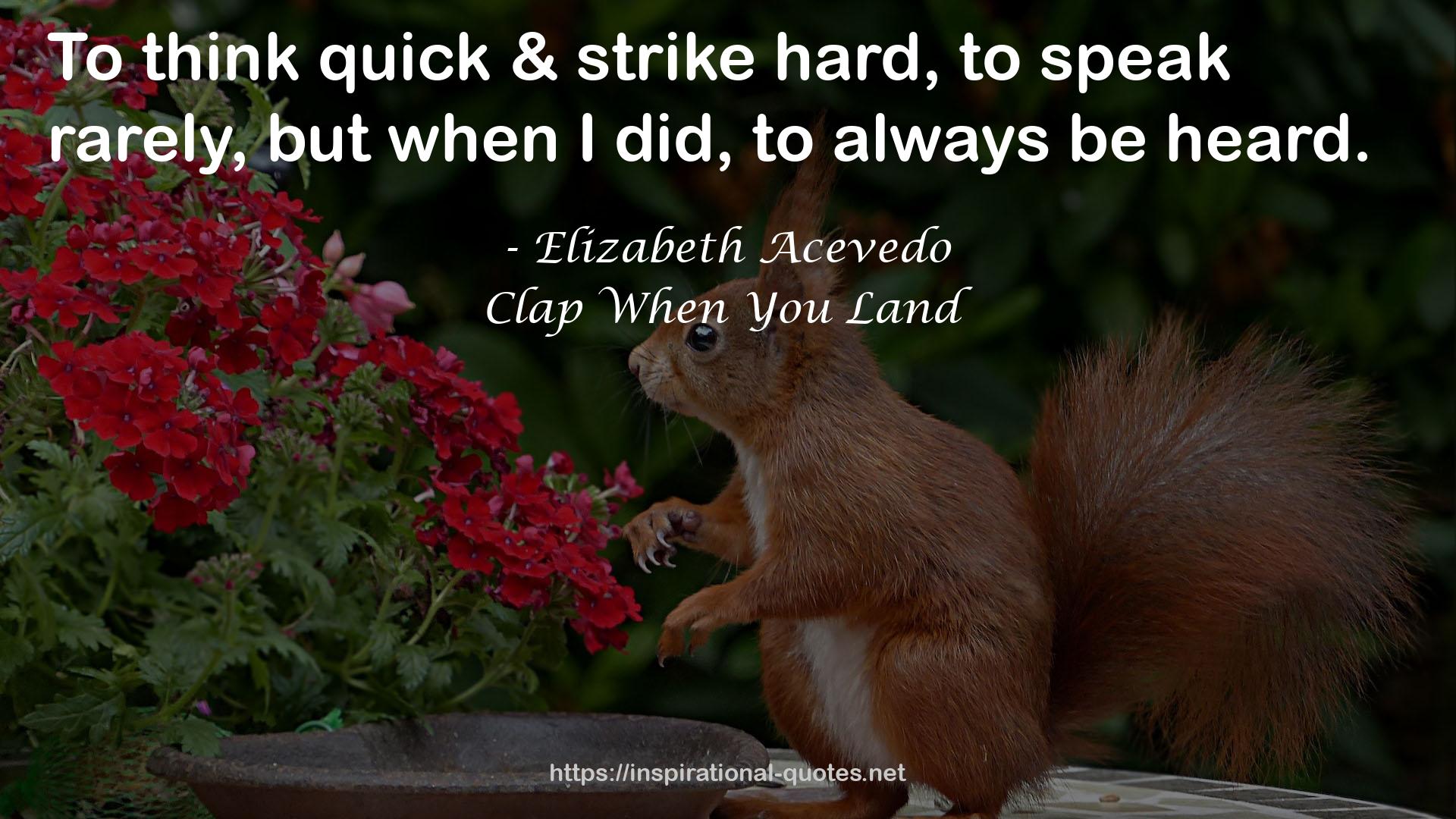 Clap When You Land QUOTES