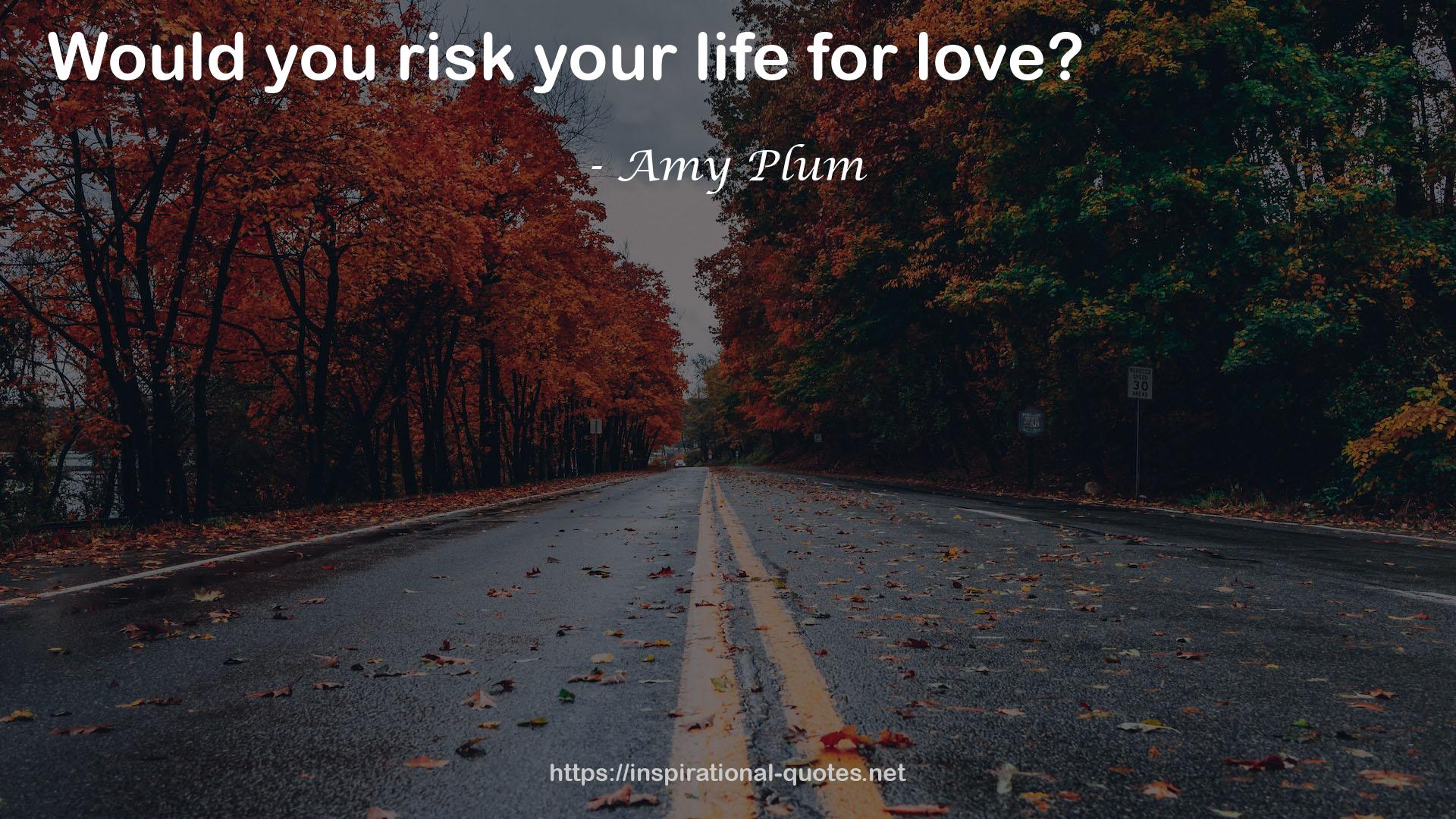 Amy Plum QUOTES